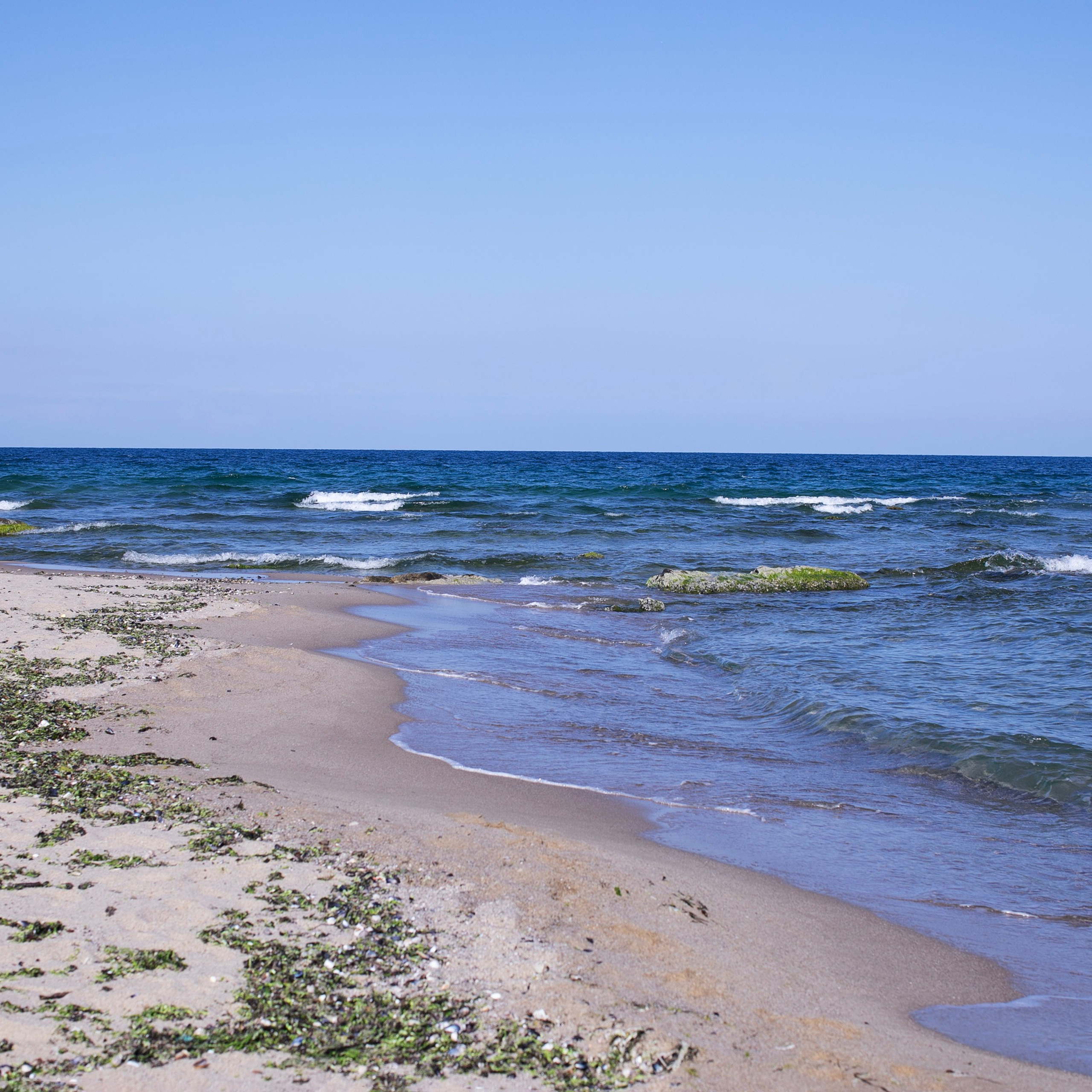 Болгария'25. Фотограф-портретист в Москве
