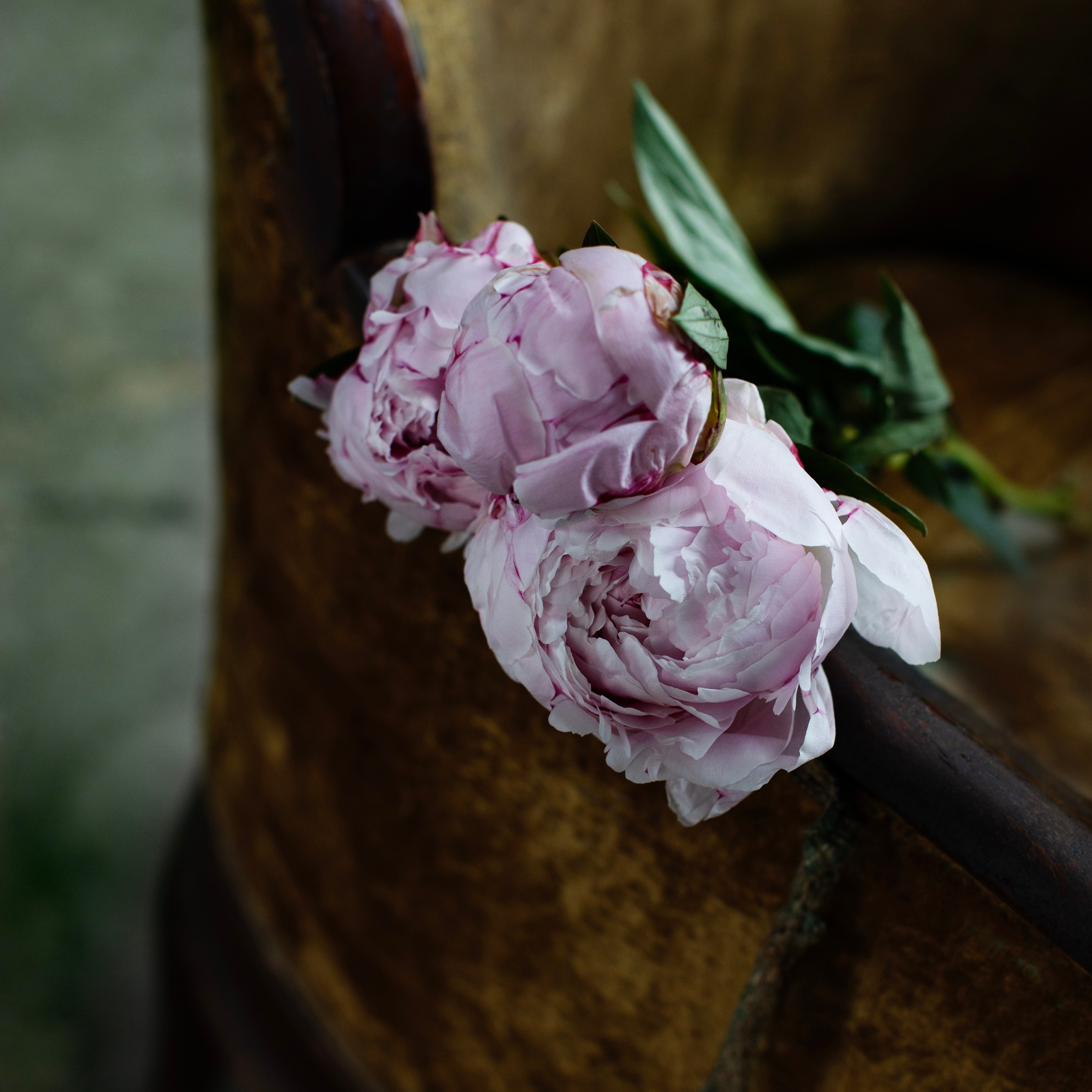 Цветы. Фотограф-портретист в Москве