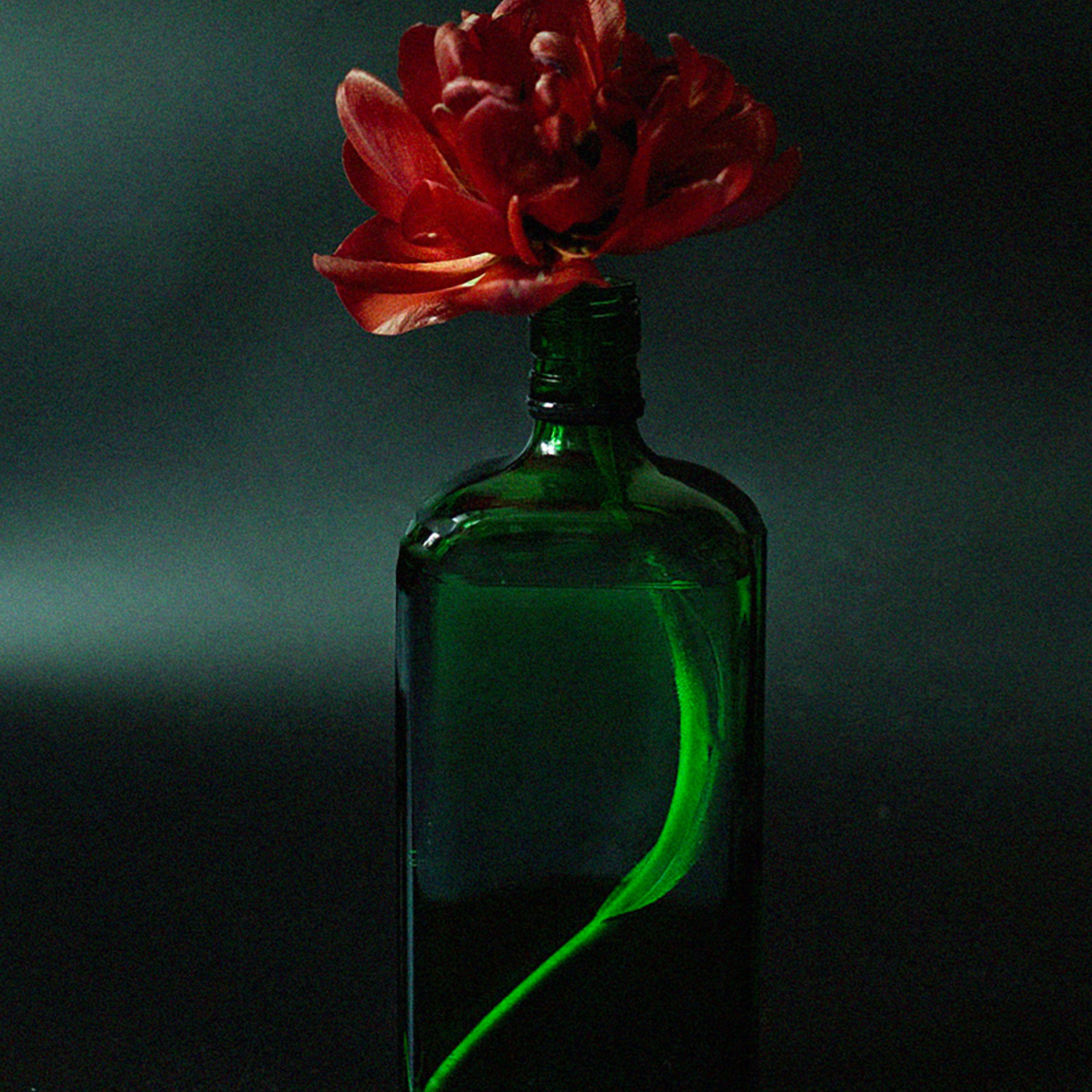 Цветы. Фотограф-портретист в Москве