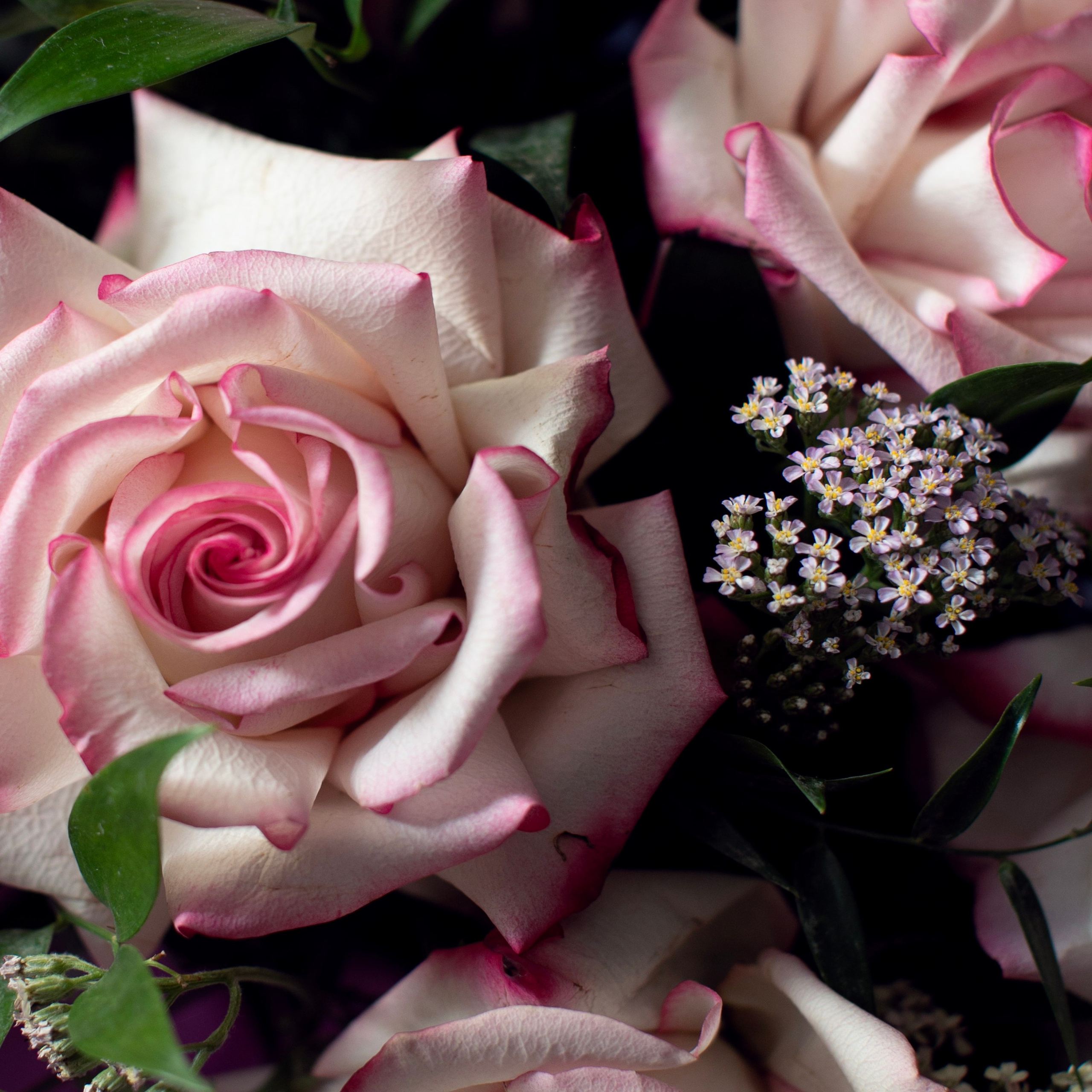 Цветы. Фотограф-портретист в Москве