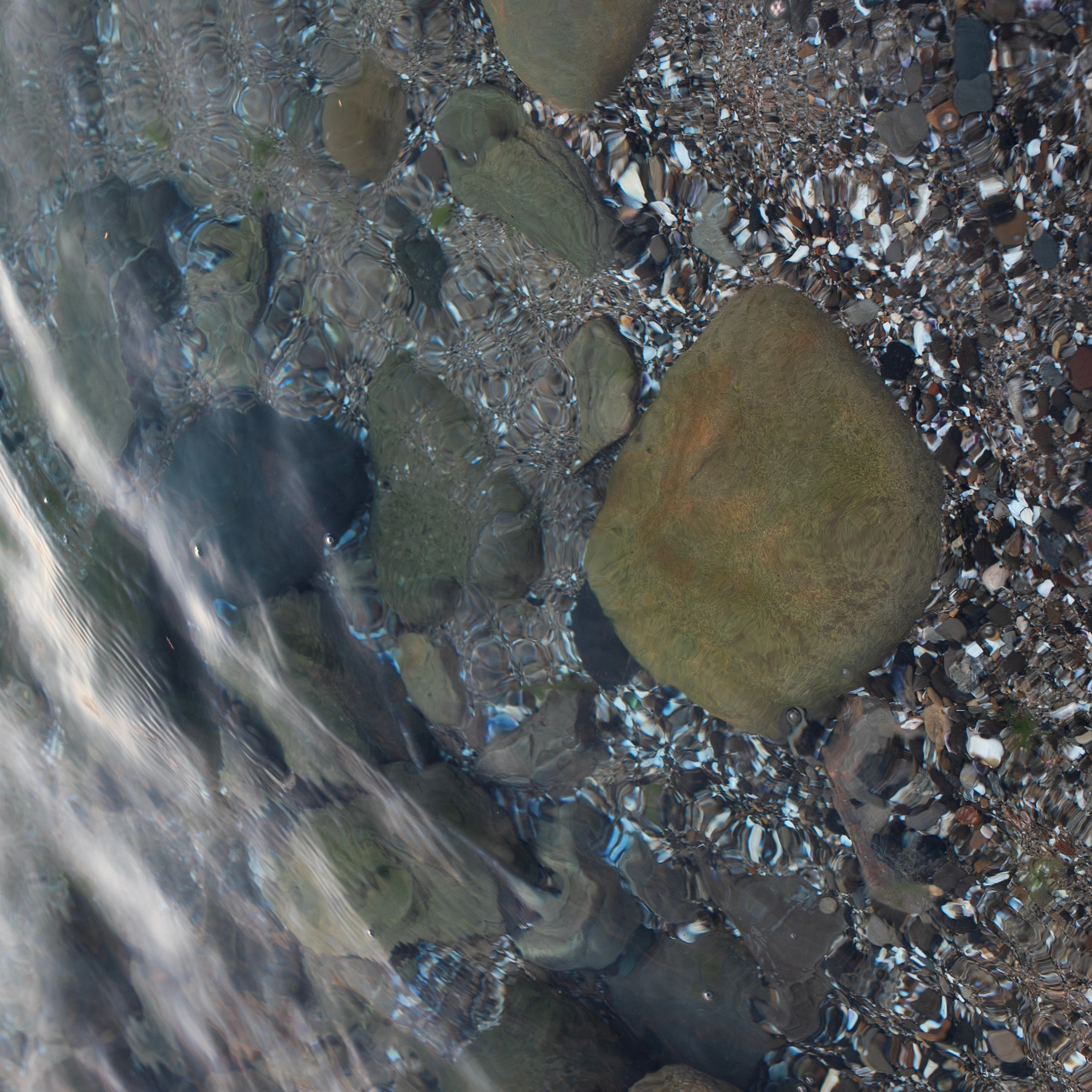 Болгария'24. Фотограф-портретист в Москве