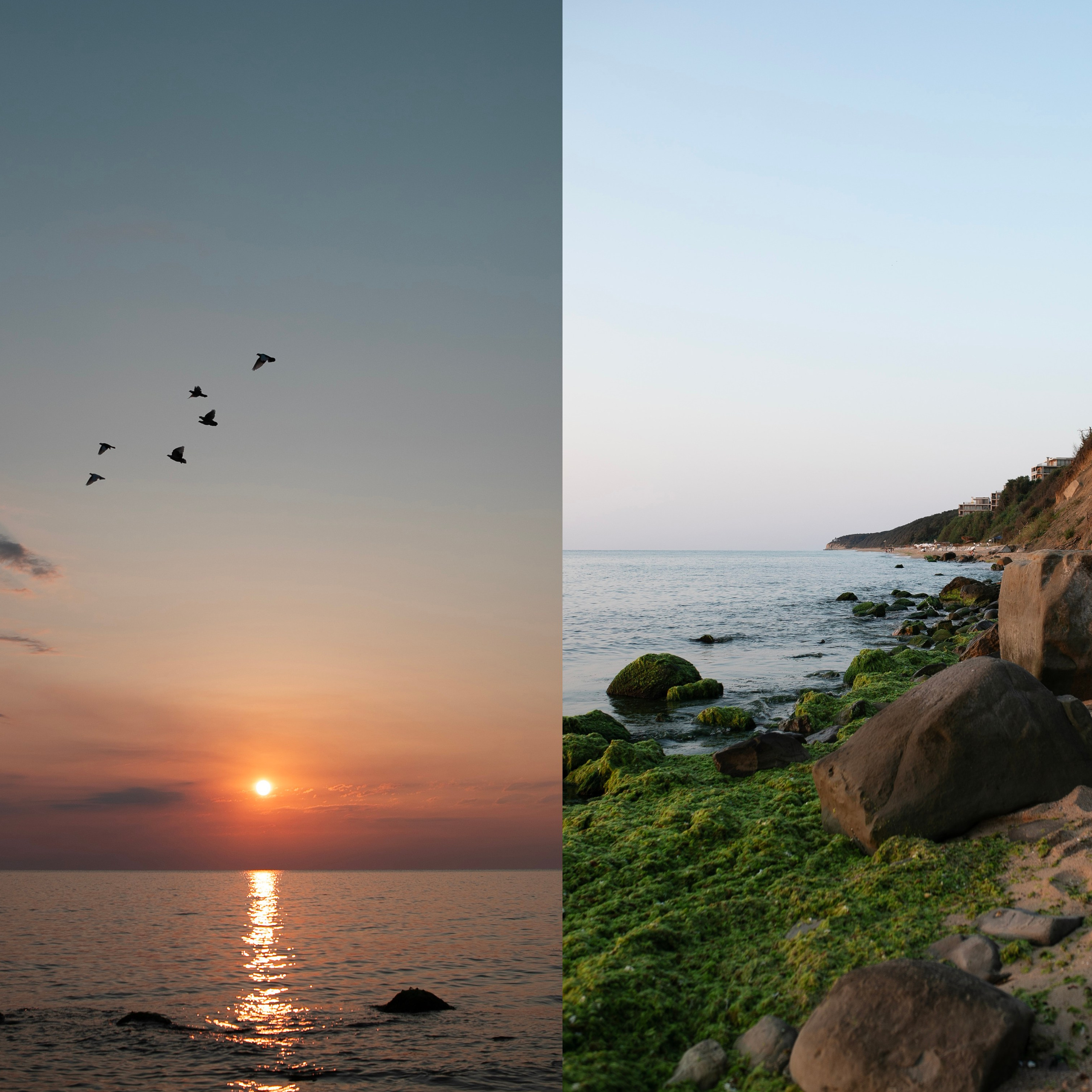 Коллажи. Фотограф-портретист в Москве