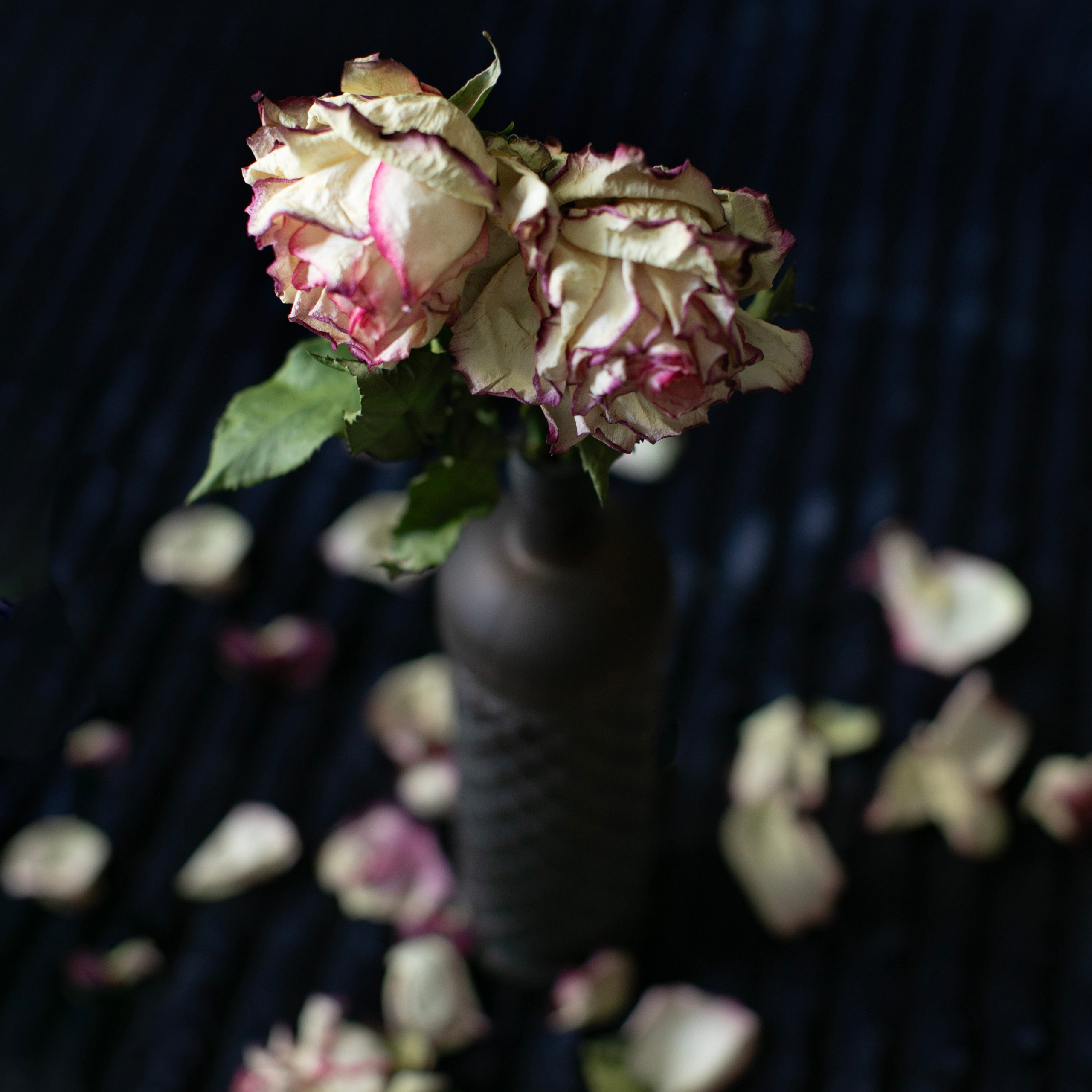 Цветы. Фотограф-портретист в Москве