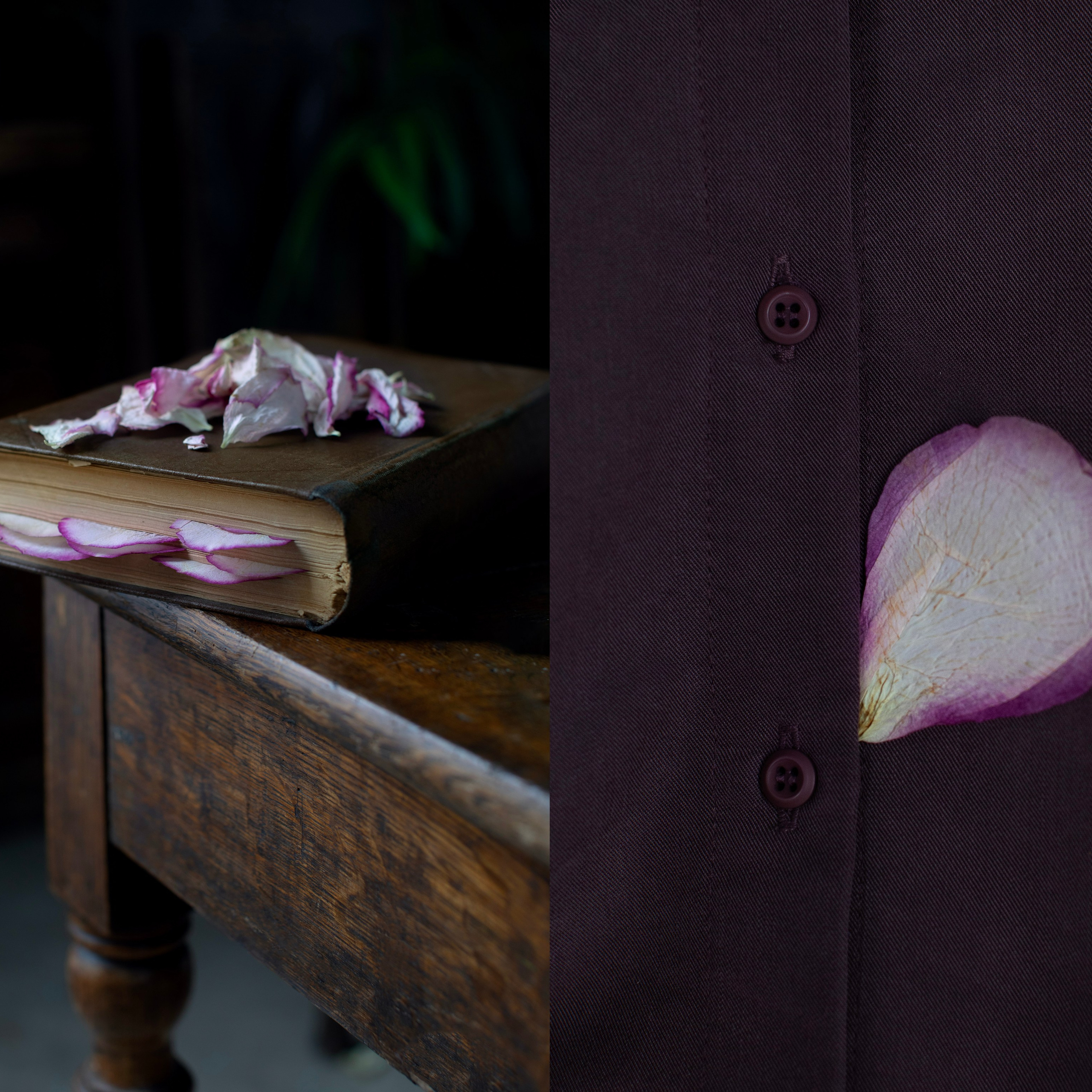 Коллажи. Фотограф-портретист в Москве