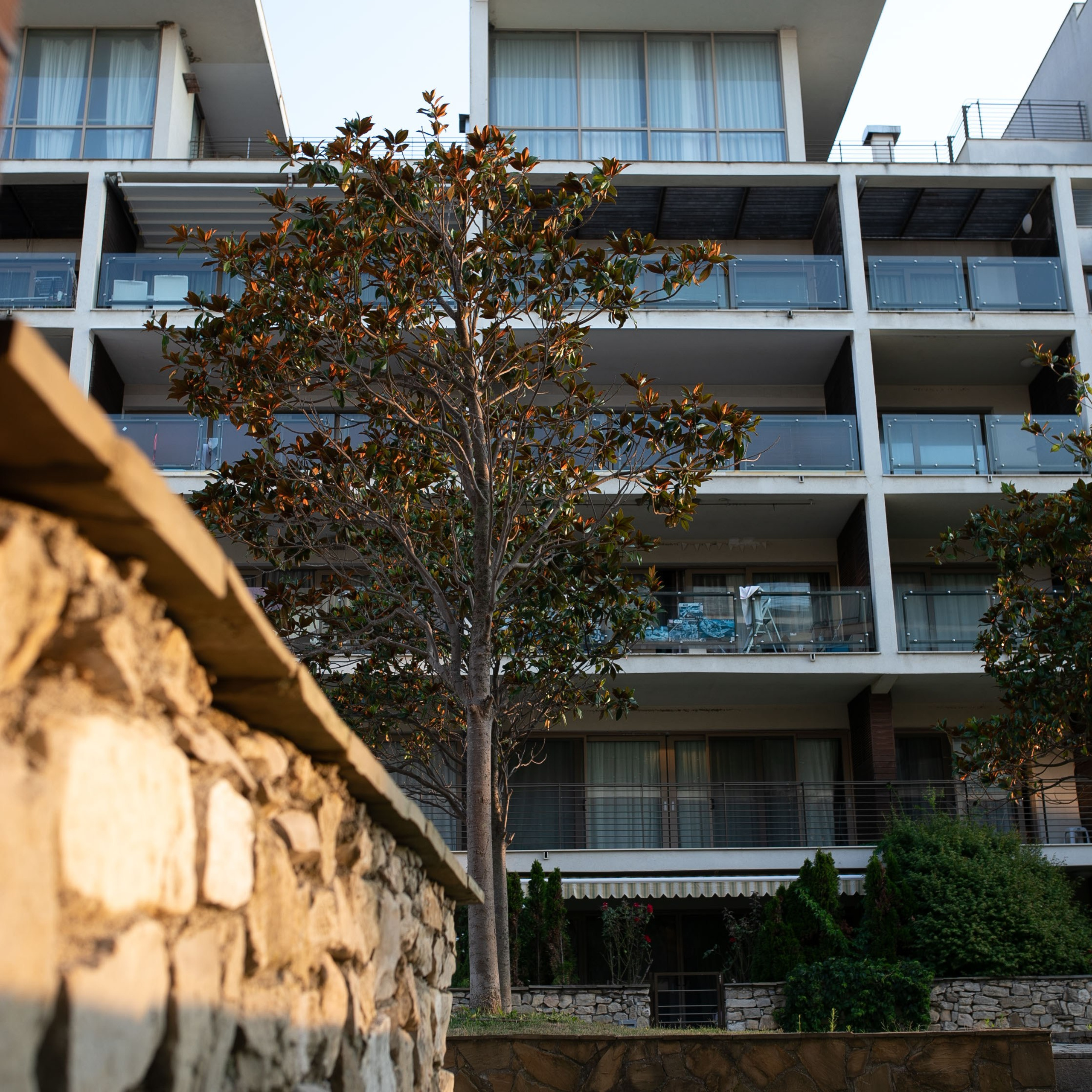 Болгария'24. Фотограф-портретист в Москве