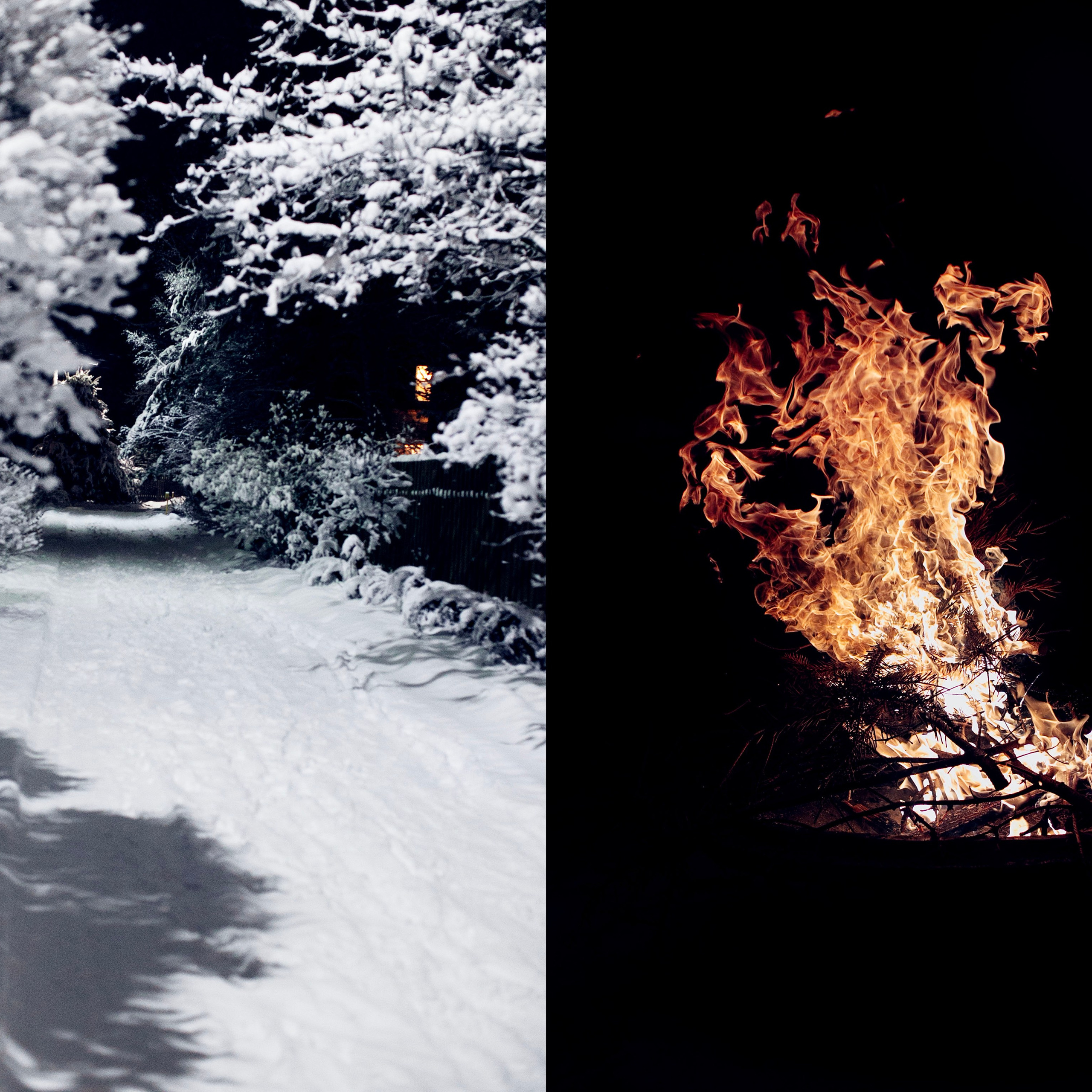 Коллажи. Фотограф-портретист в Москве