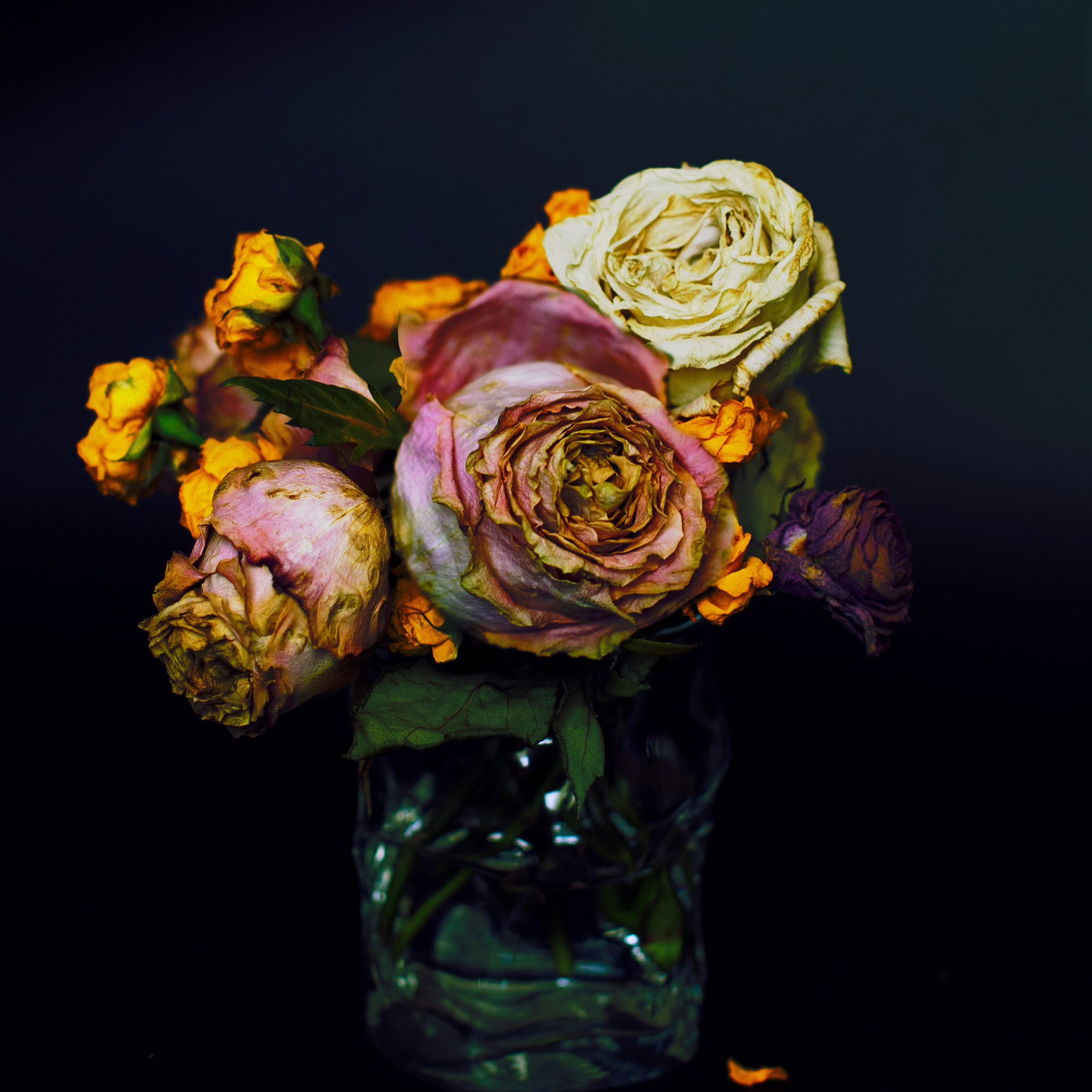 Цветы. Фотограф-портретист в Москве