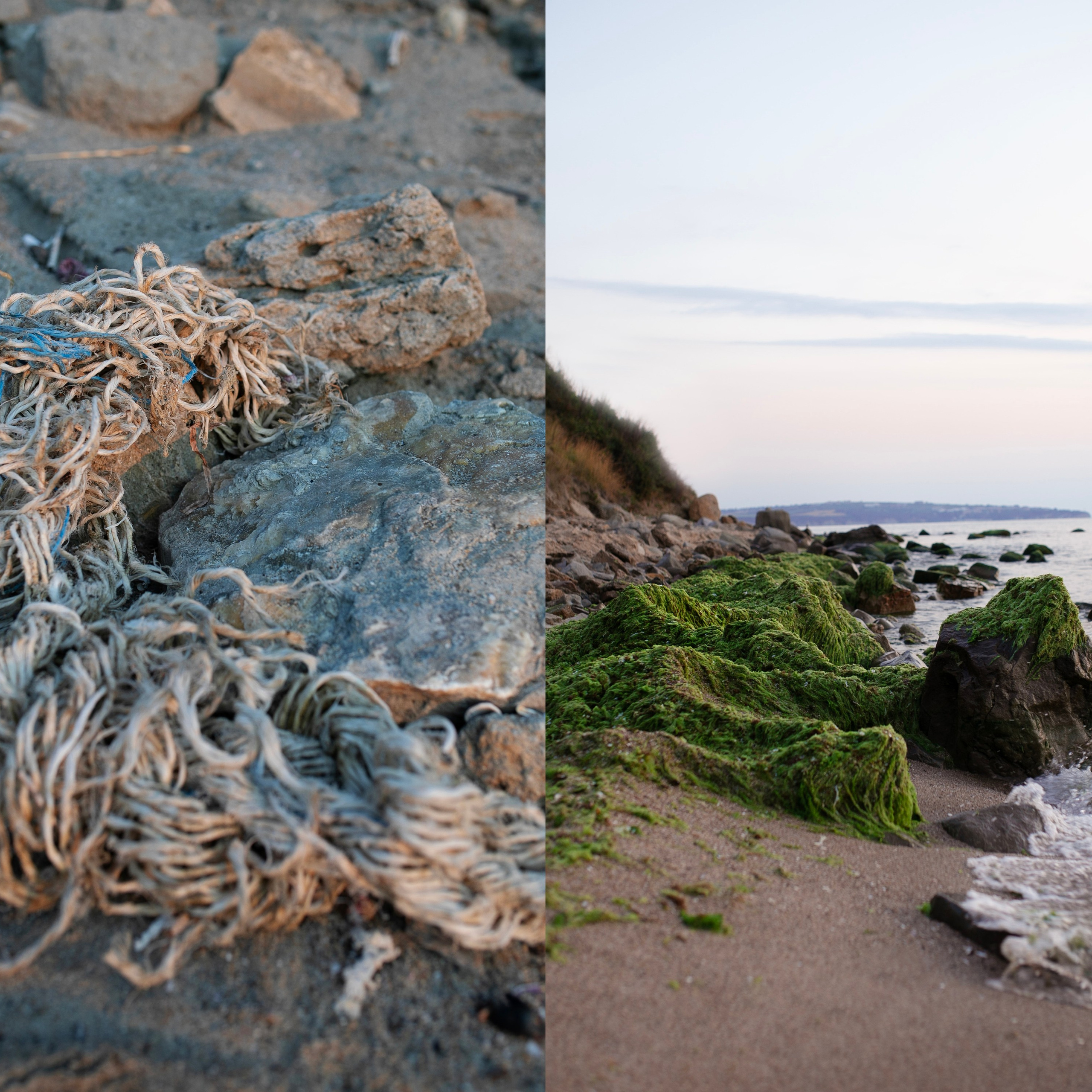 Болгария'24. Фотограф-портретист в Москве