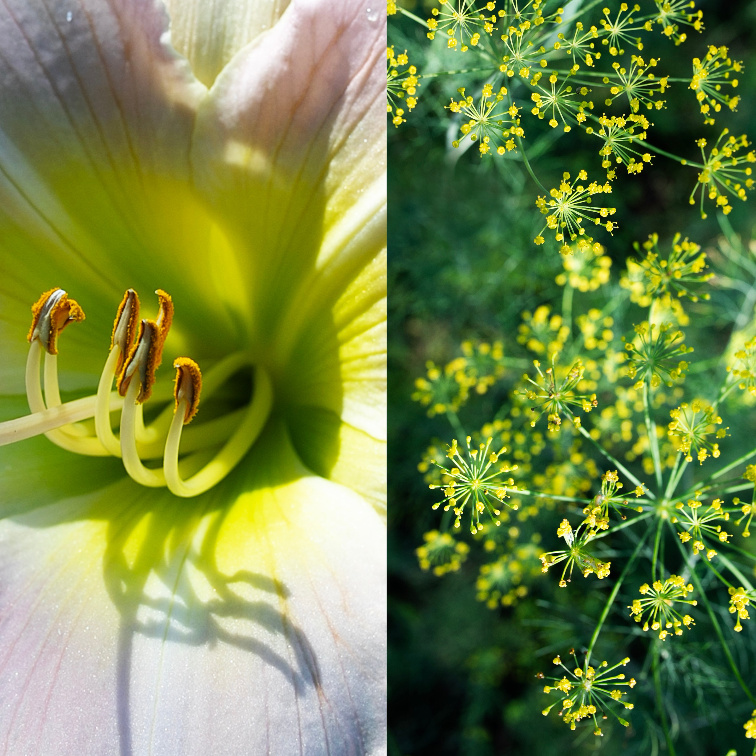 Коллажи. Фотограф-портретист в Москве