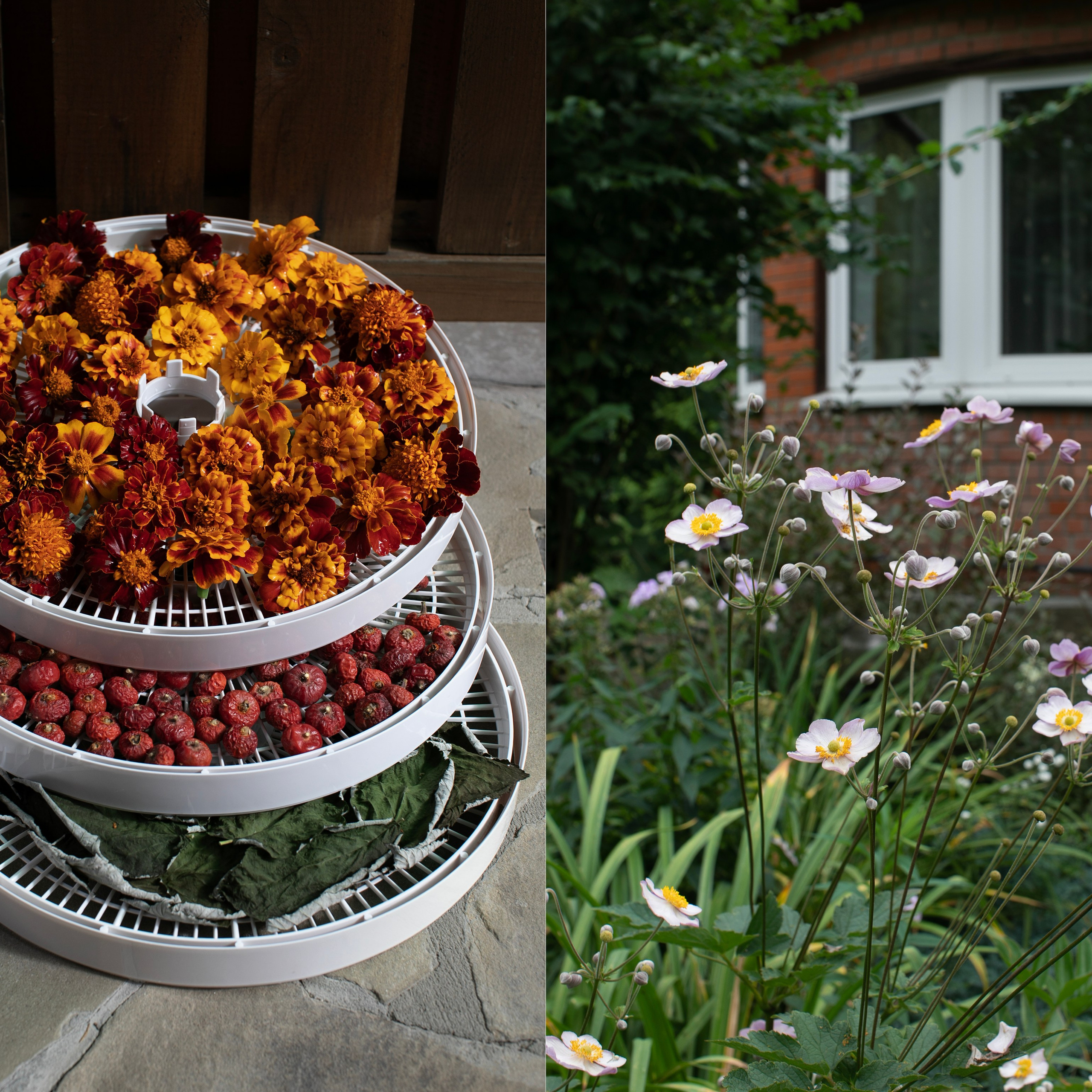 Коллажи. Фотограф-портретист в Москве