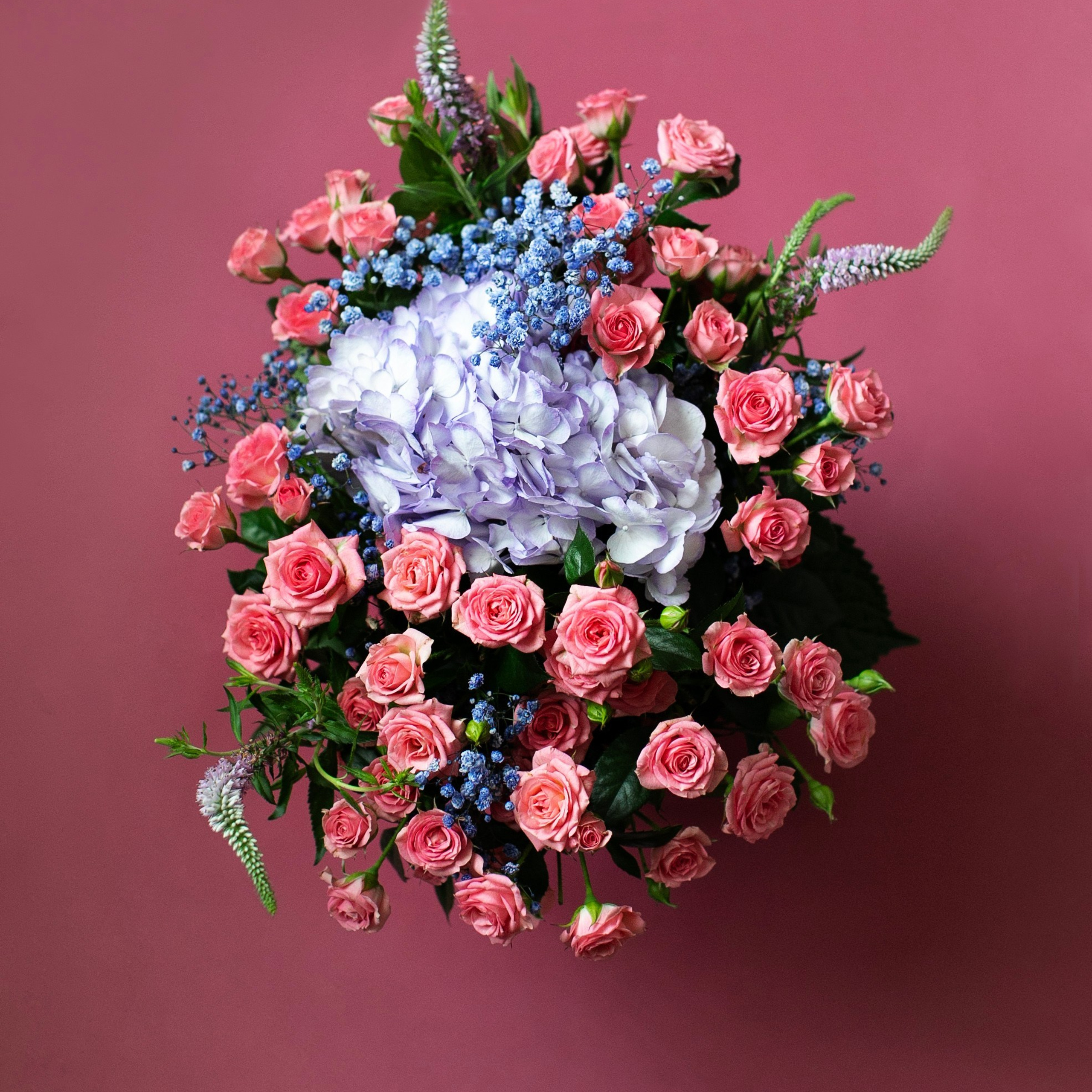 Цветы. Фотограф-портретист в Москве