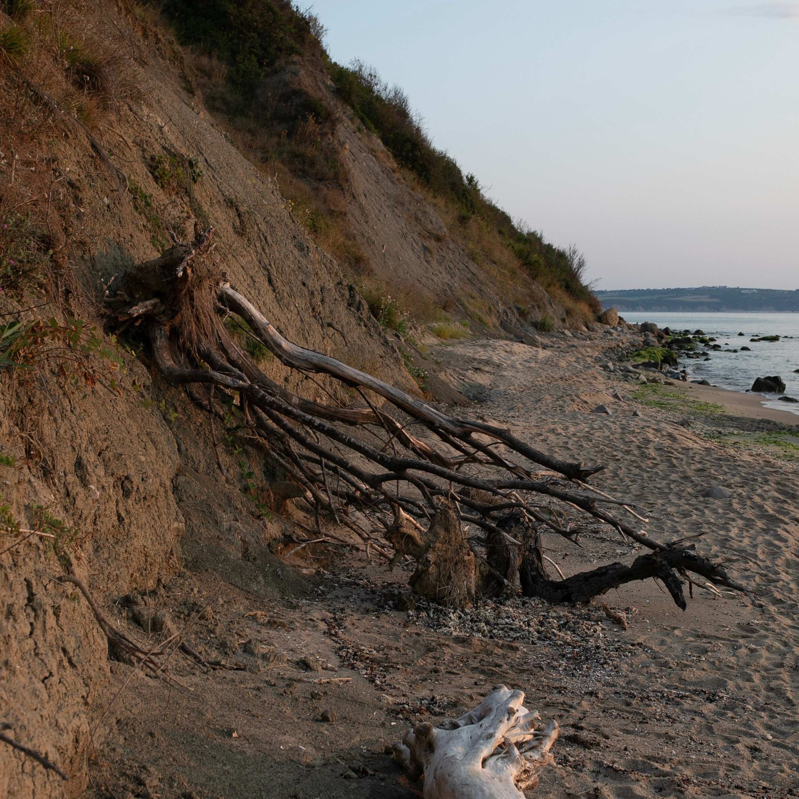 Болгария'24. Фотограф-портретист в Москве