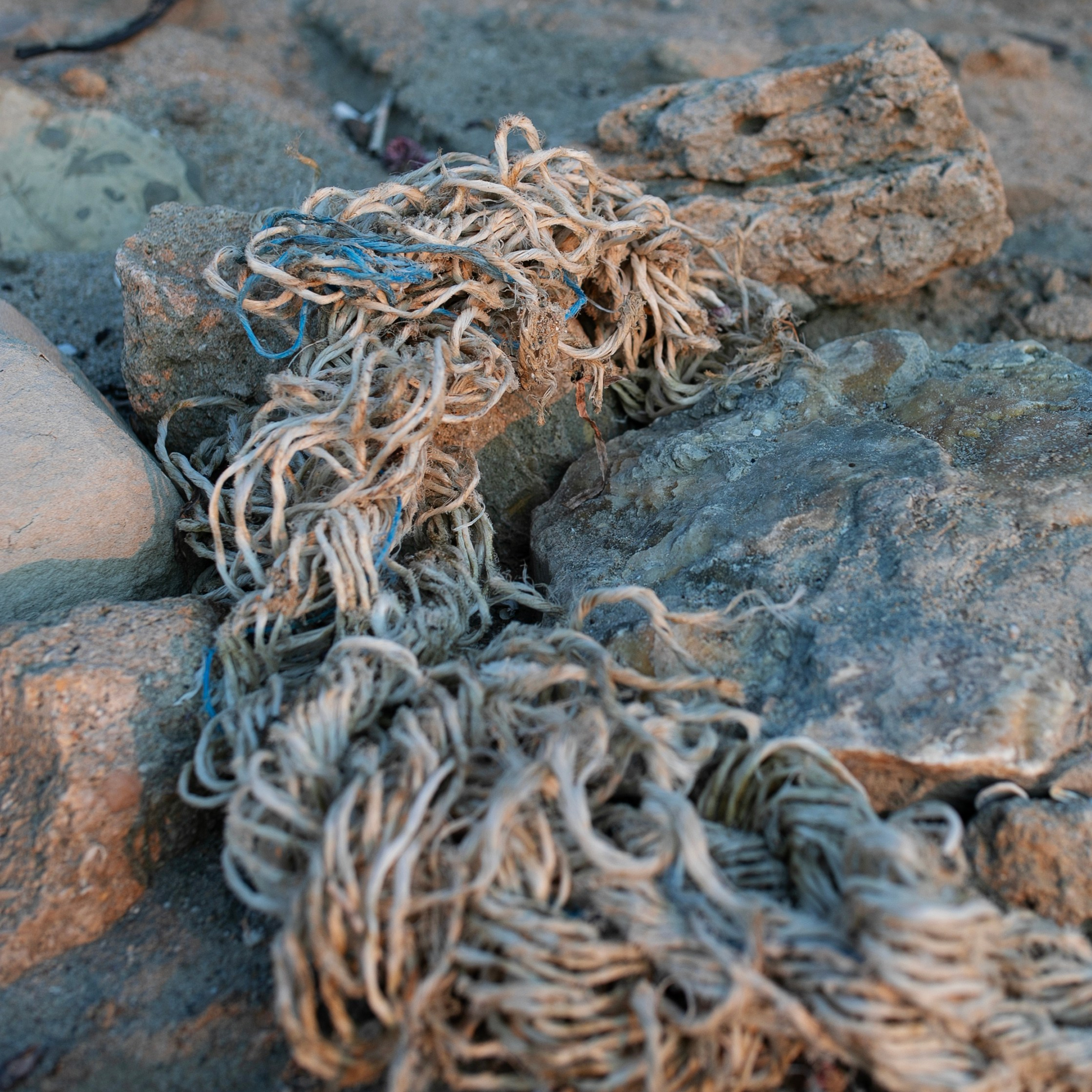 Болгария'24. Фотограф-портретист в Москве