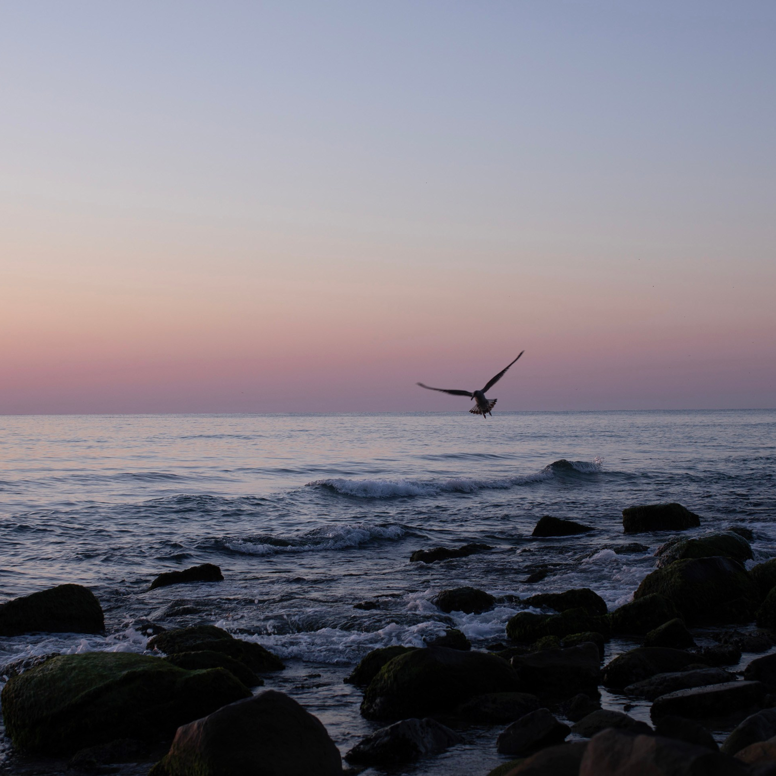 Болгария'25. Фотограф-портретист в Москве
