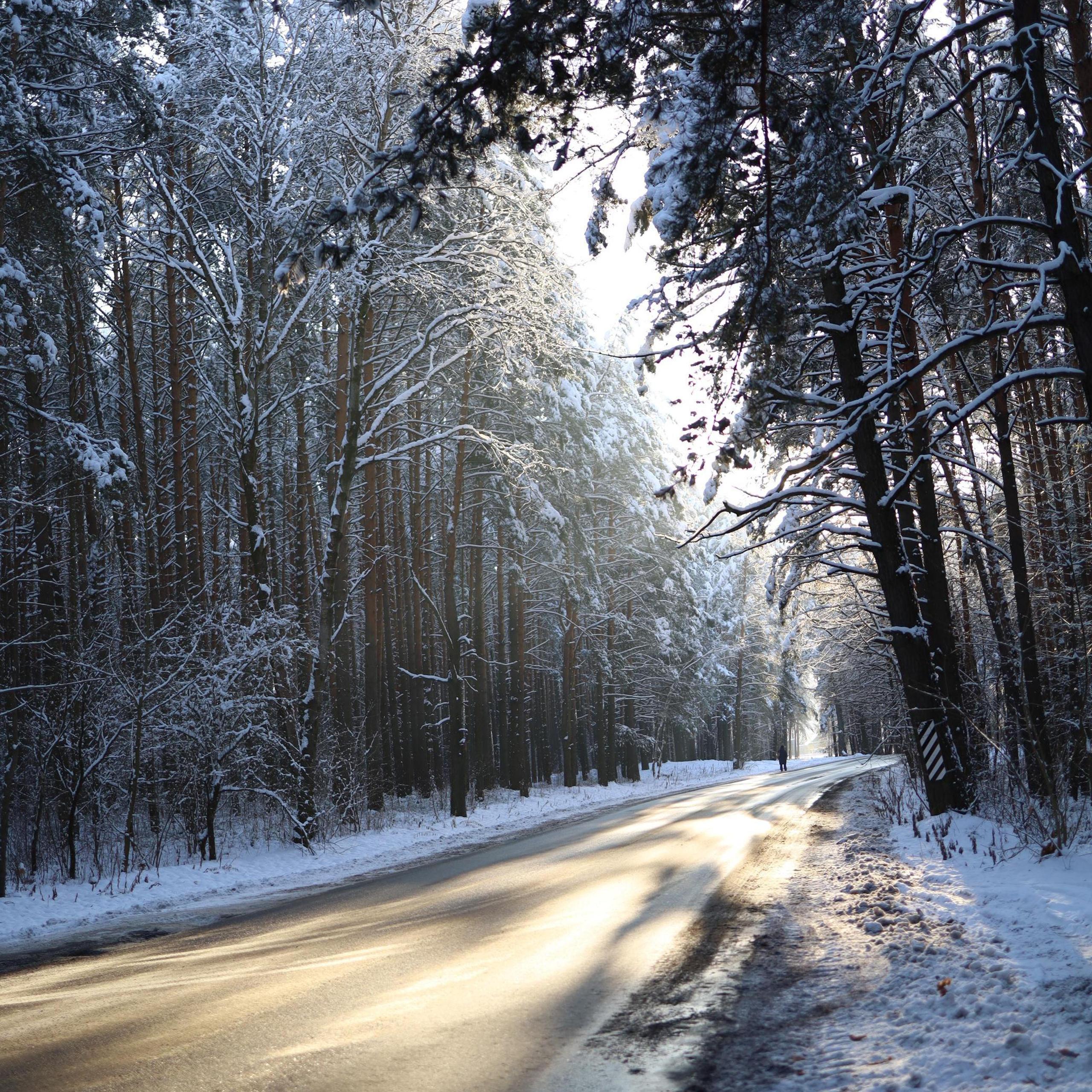 Отзывы. Свадебный и портретный фотограф Минск Евсович Инна