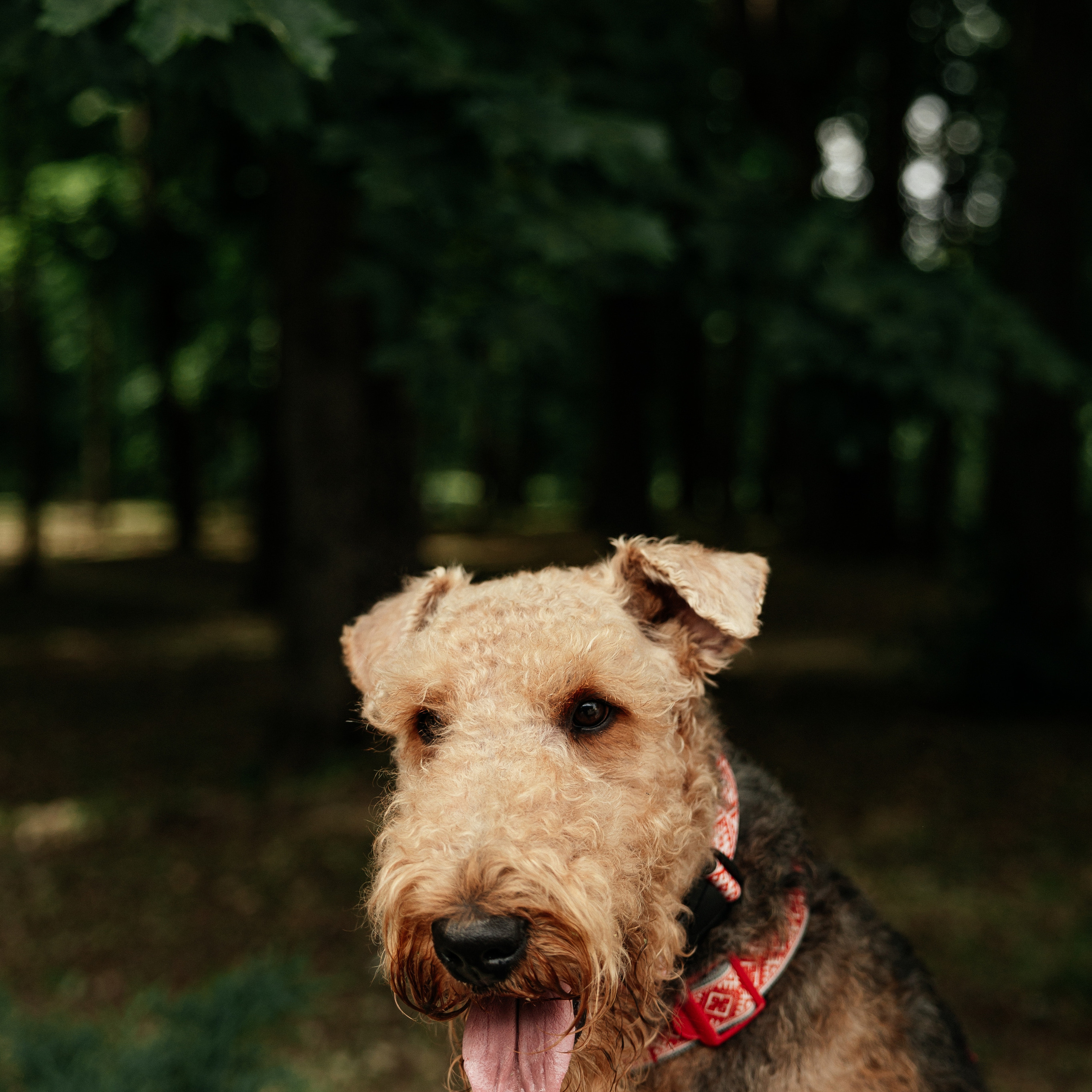 Отзывы. Свадебный и портретный фотограф Минск Евсович Инна
