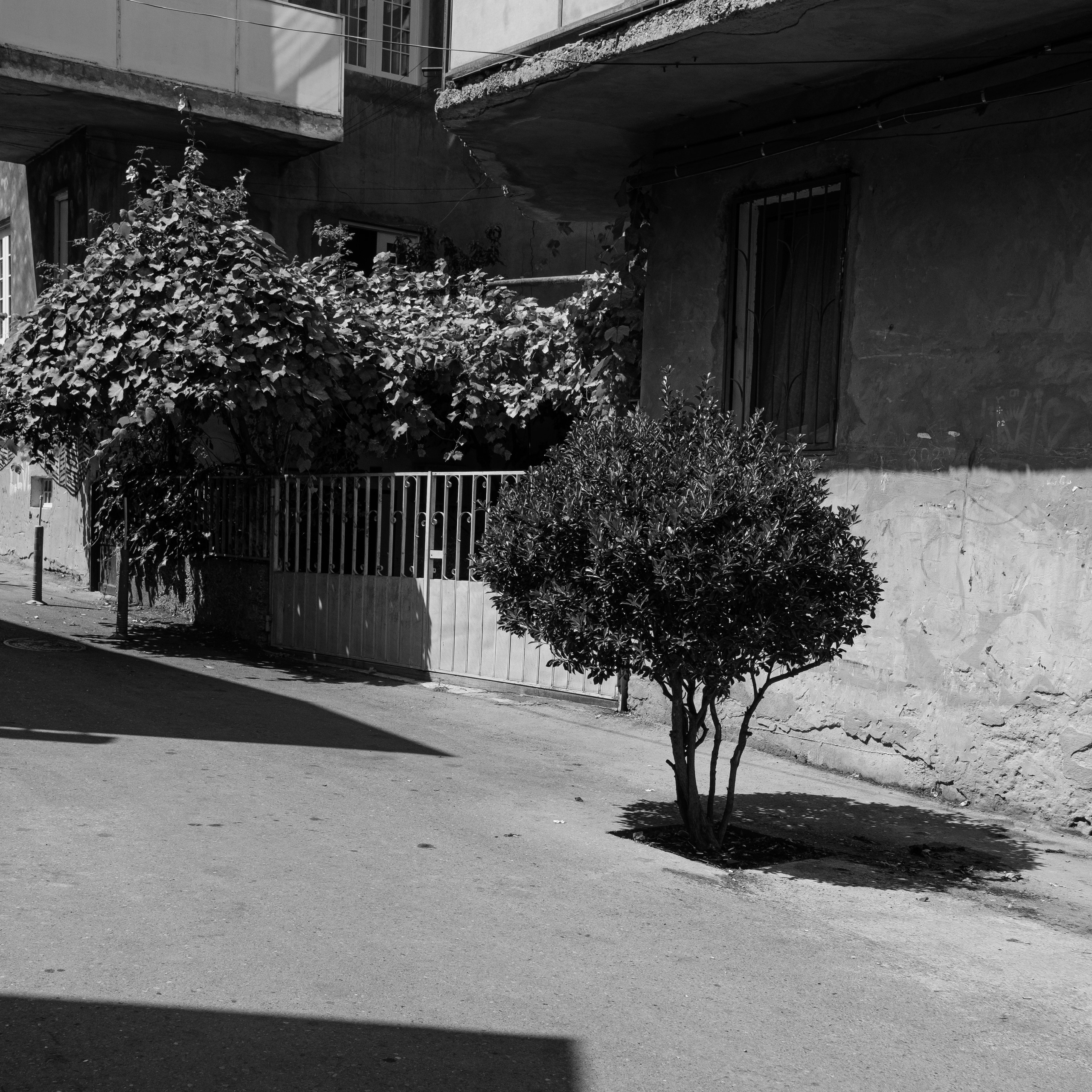 Тбилиси, 2024