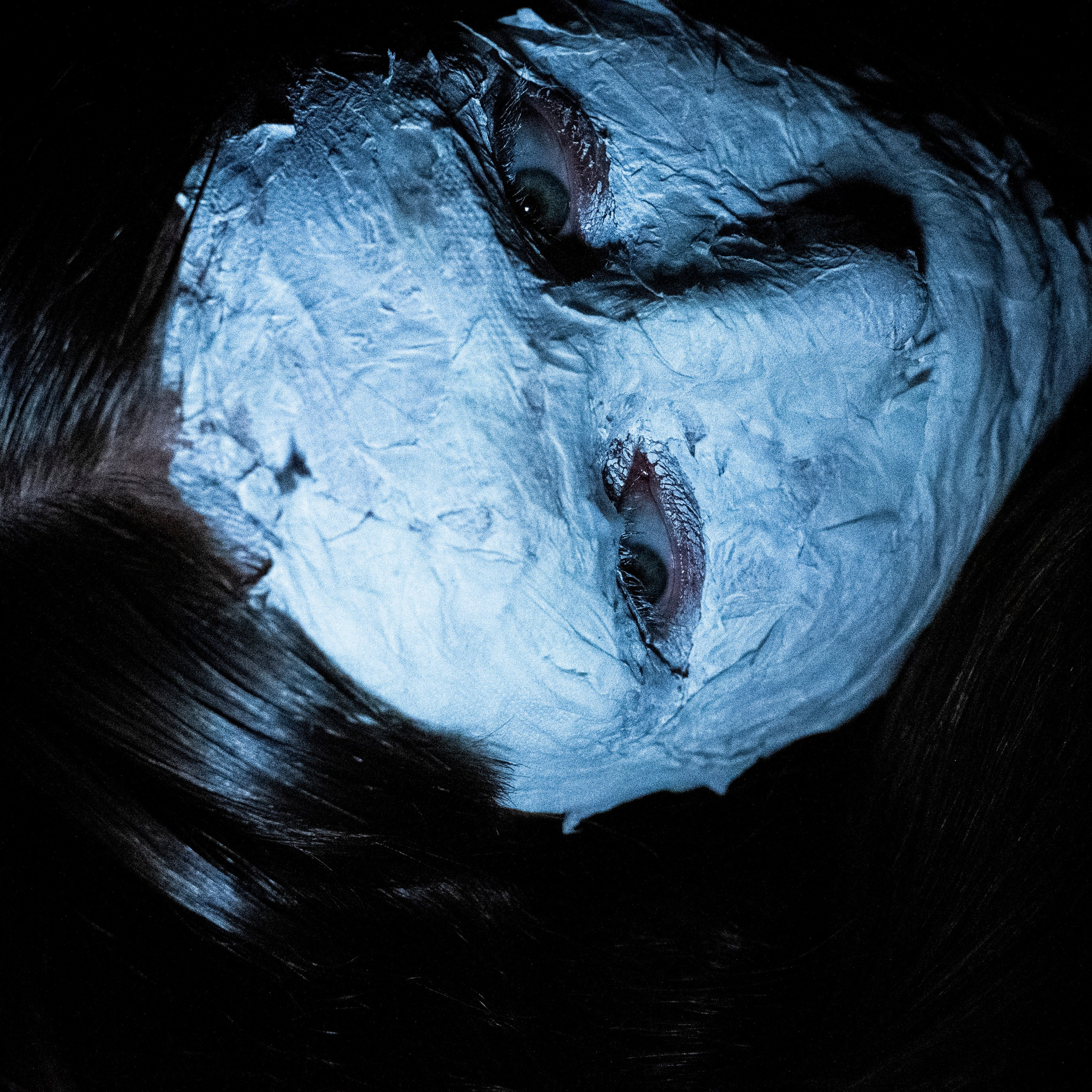 Практический урок по студийному свету. Коммерческий и fashion-фотограф в Москве и Санкт-Петербурге Олеся Поле