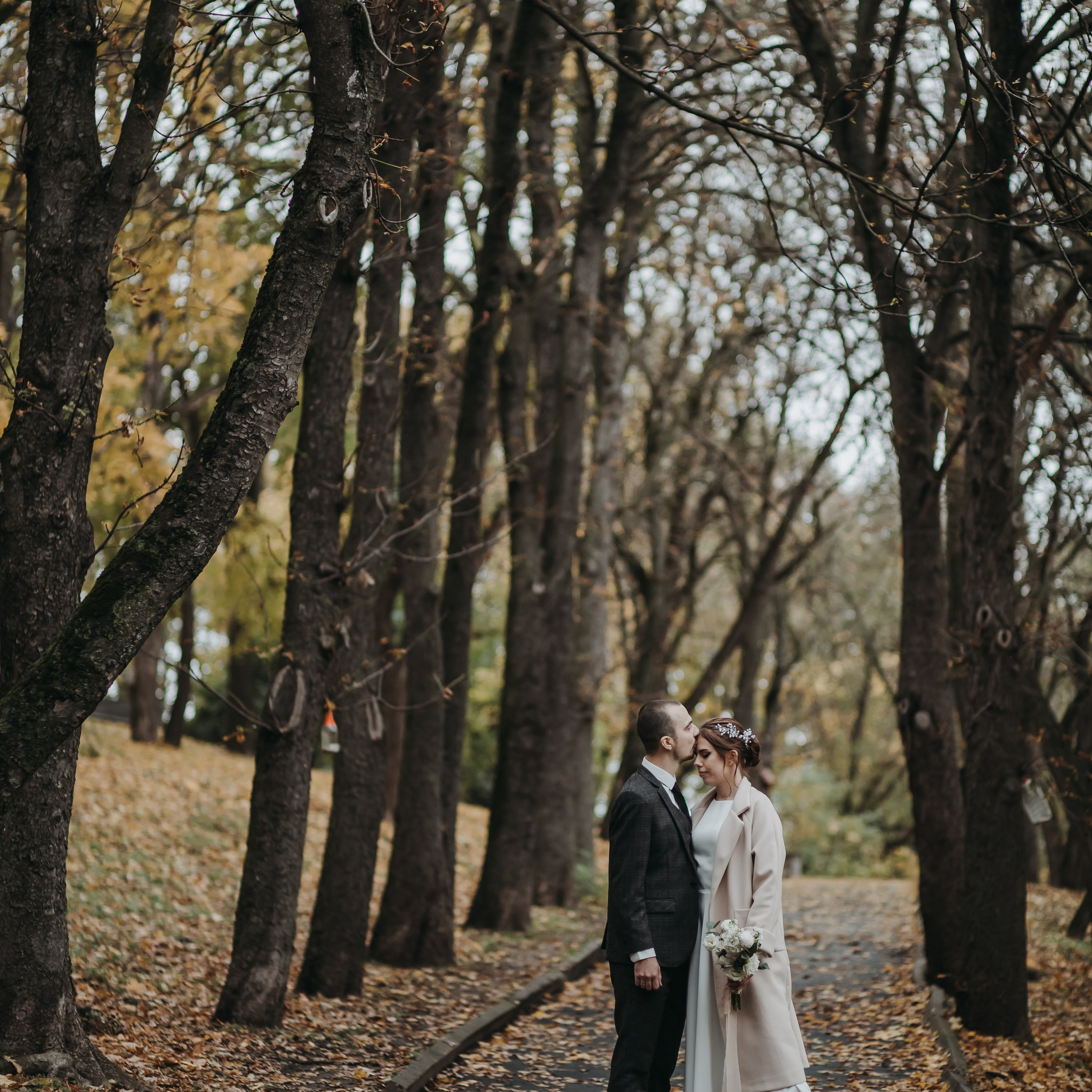 Камерная осень