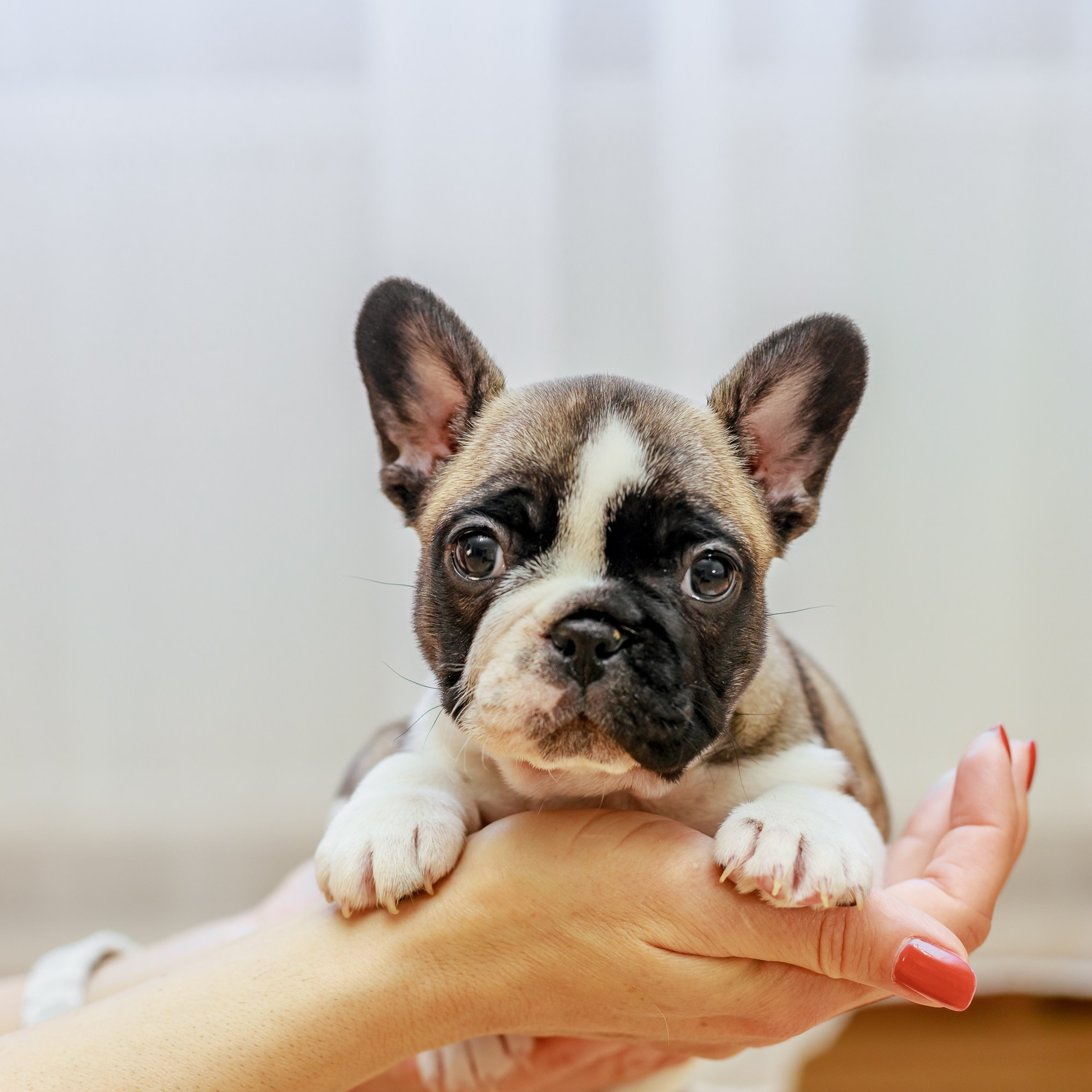 Отзывы. Свадебный и семейный фотограф в Невинномысске Наталья Куликова