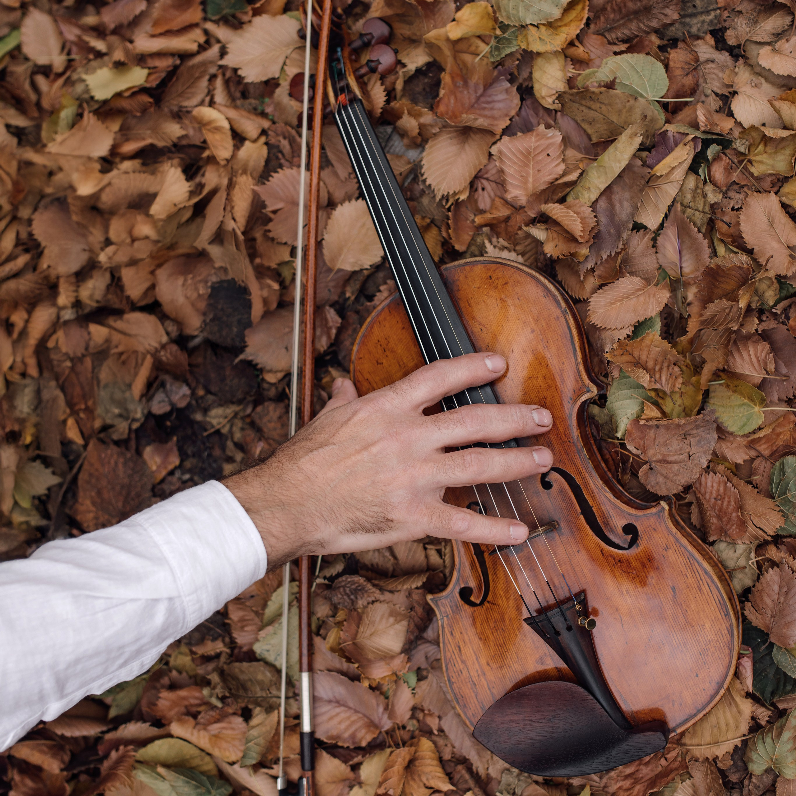 Осень, скрипка, музыка