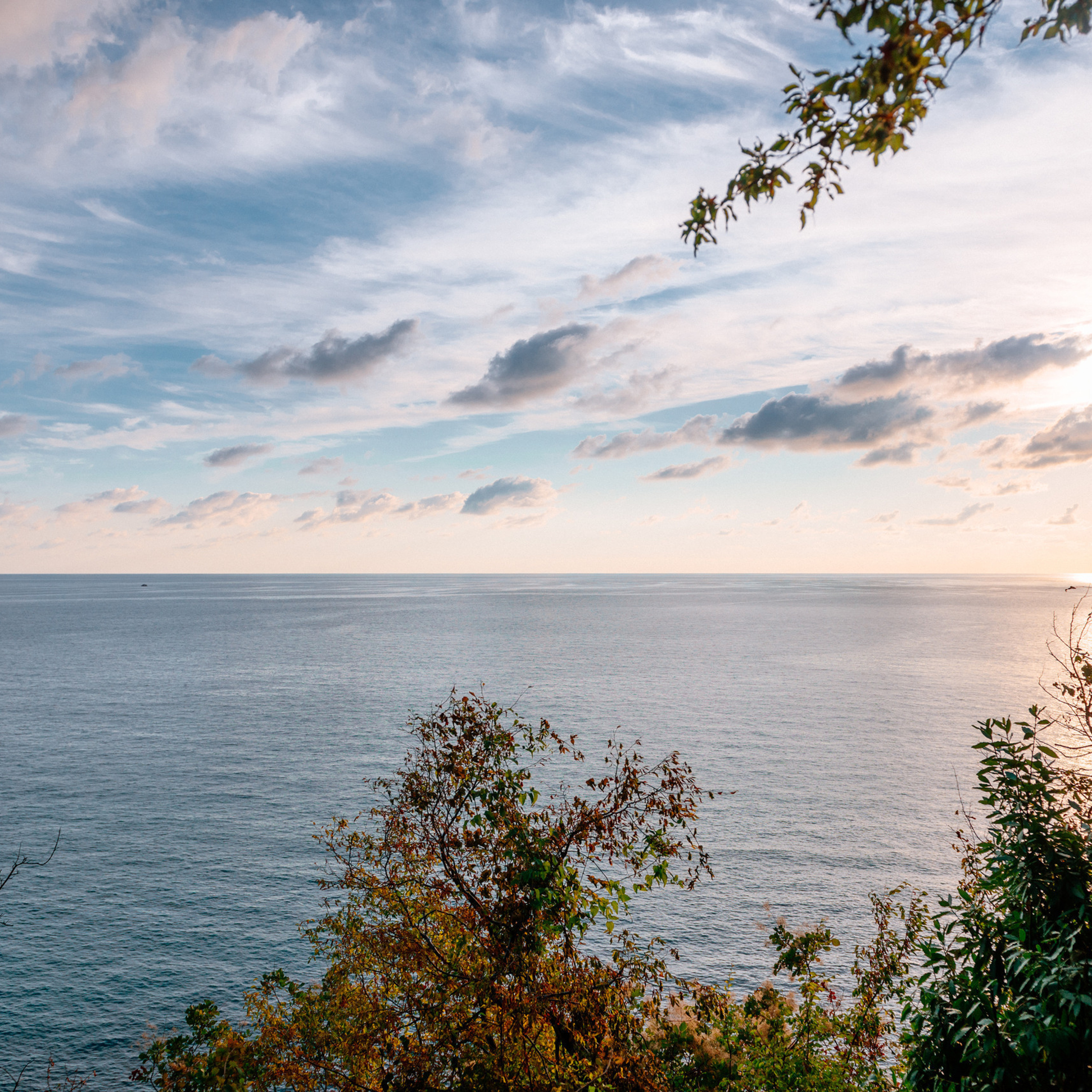 Feedback on wedding and family photographer Fedor Lemeshko. Fedor Lemeshko — Destination Wedding and Family Lifestyle photographer