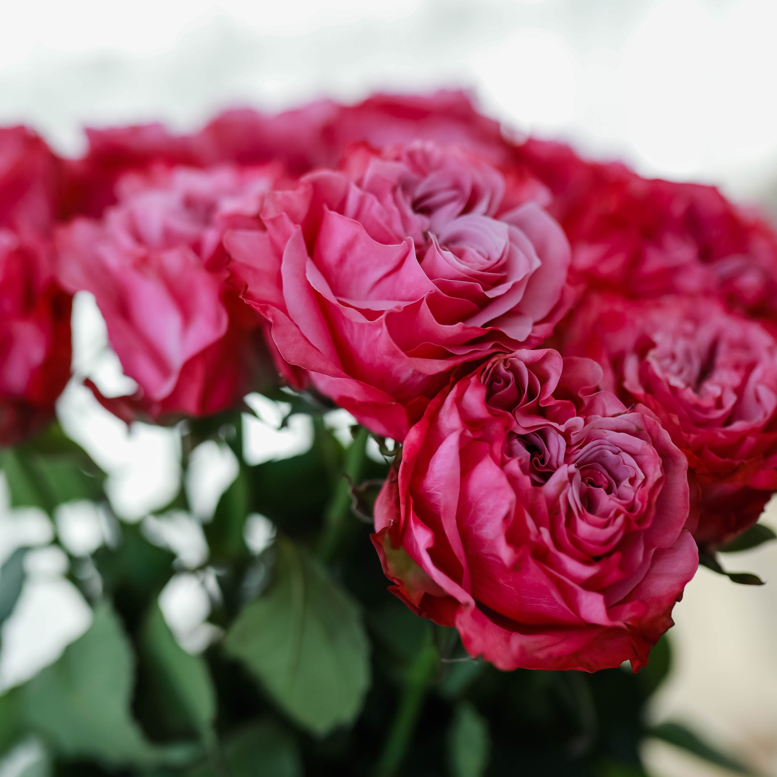 Отзывы. Школьный и свадебный фотограф Екатерина Салмина