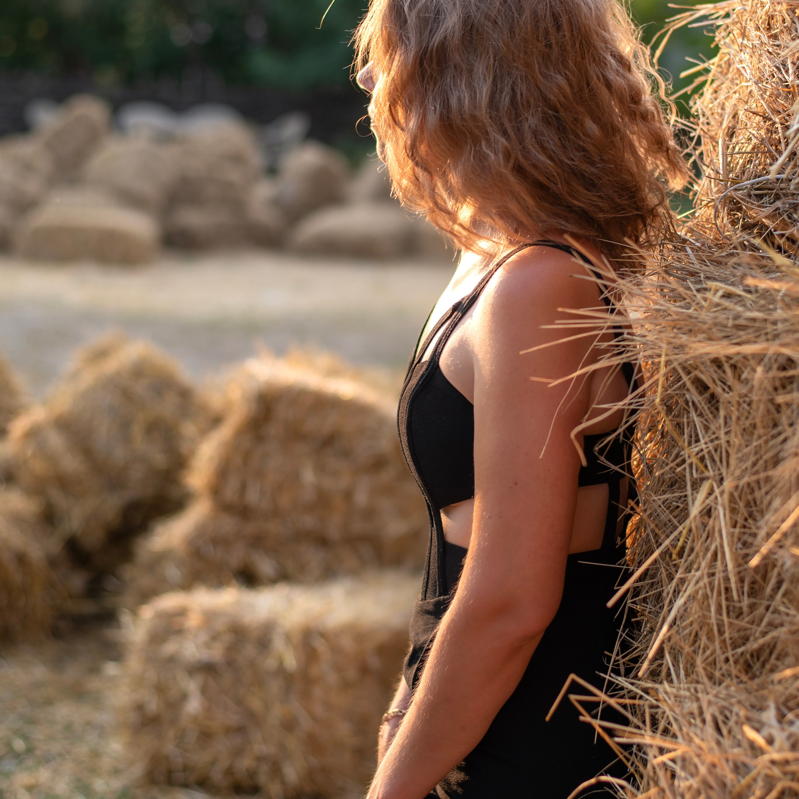 Леди и лошадь