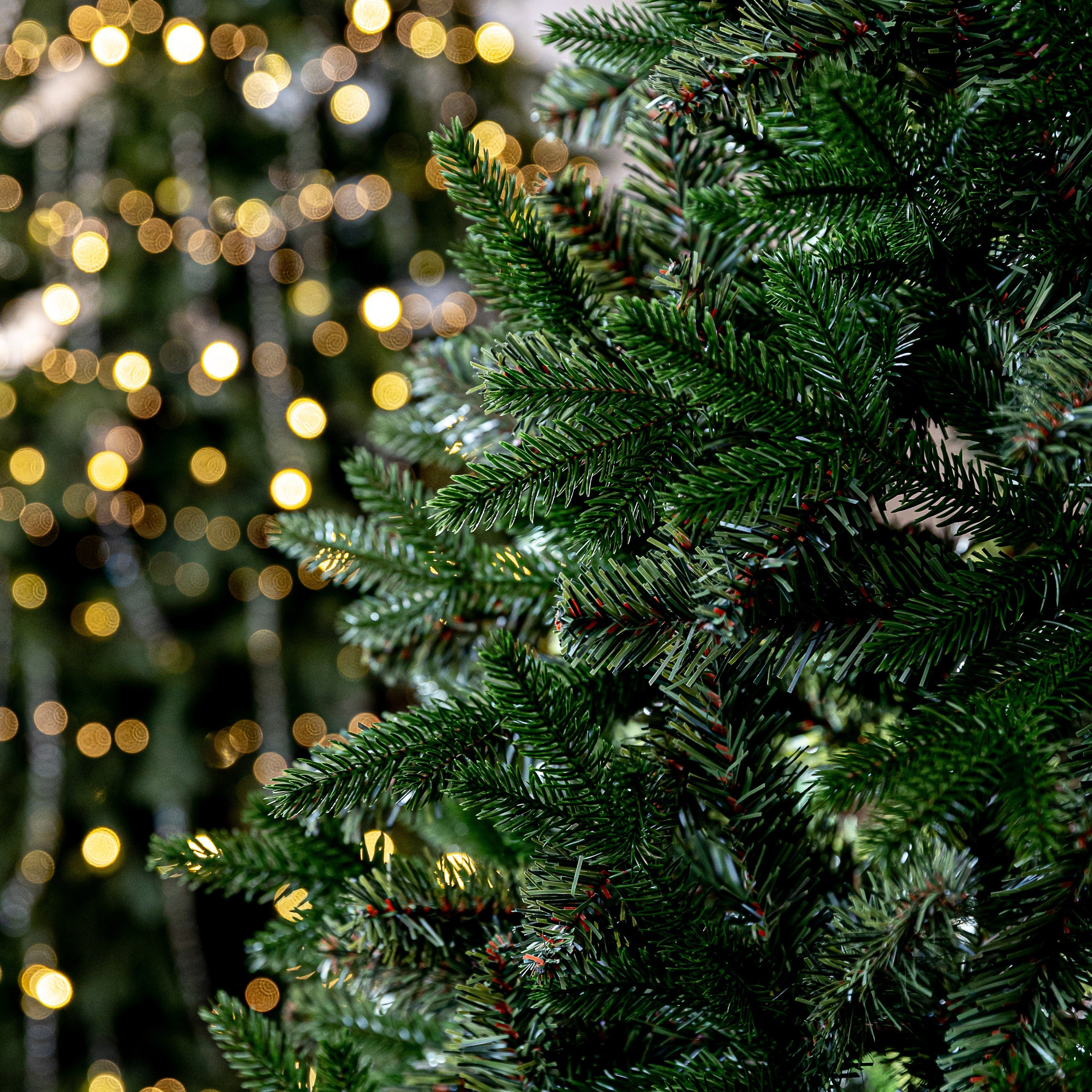 Отзывы. Фотограф в Красноярске