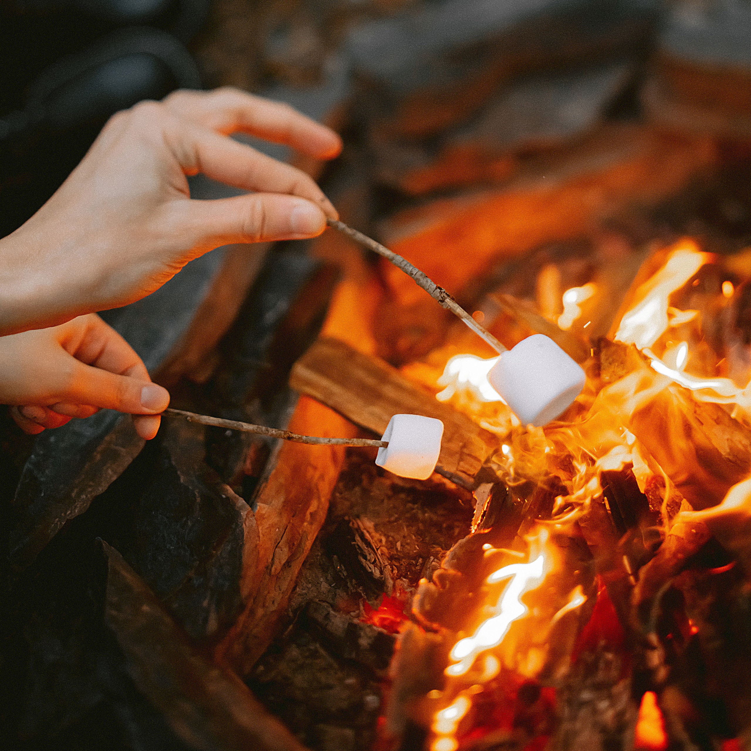 Домик в лесу