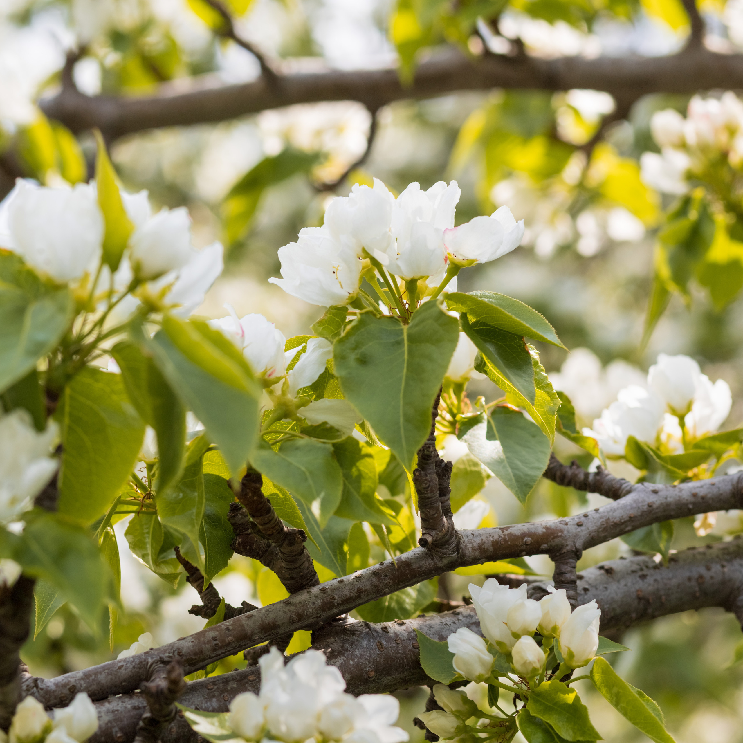 Отзывы. Семейный и детский фотограф в Москве и МО Крюкова Надежда