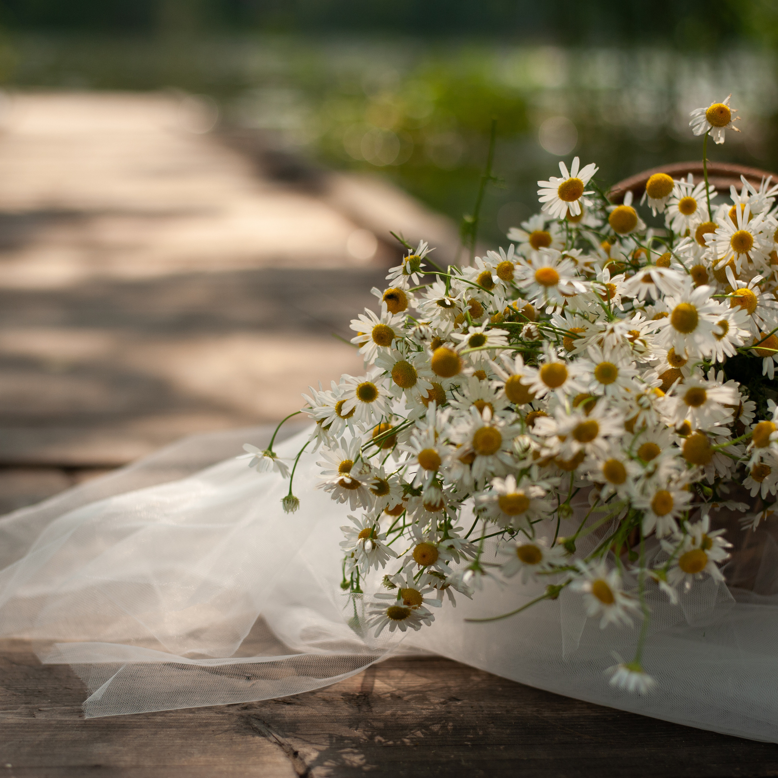 Отзывы. Выпускные альбомы Москва и МО. Школьный и семейный фотограф