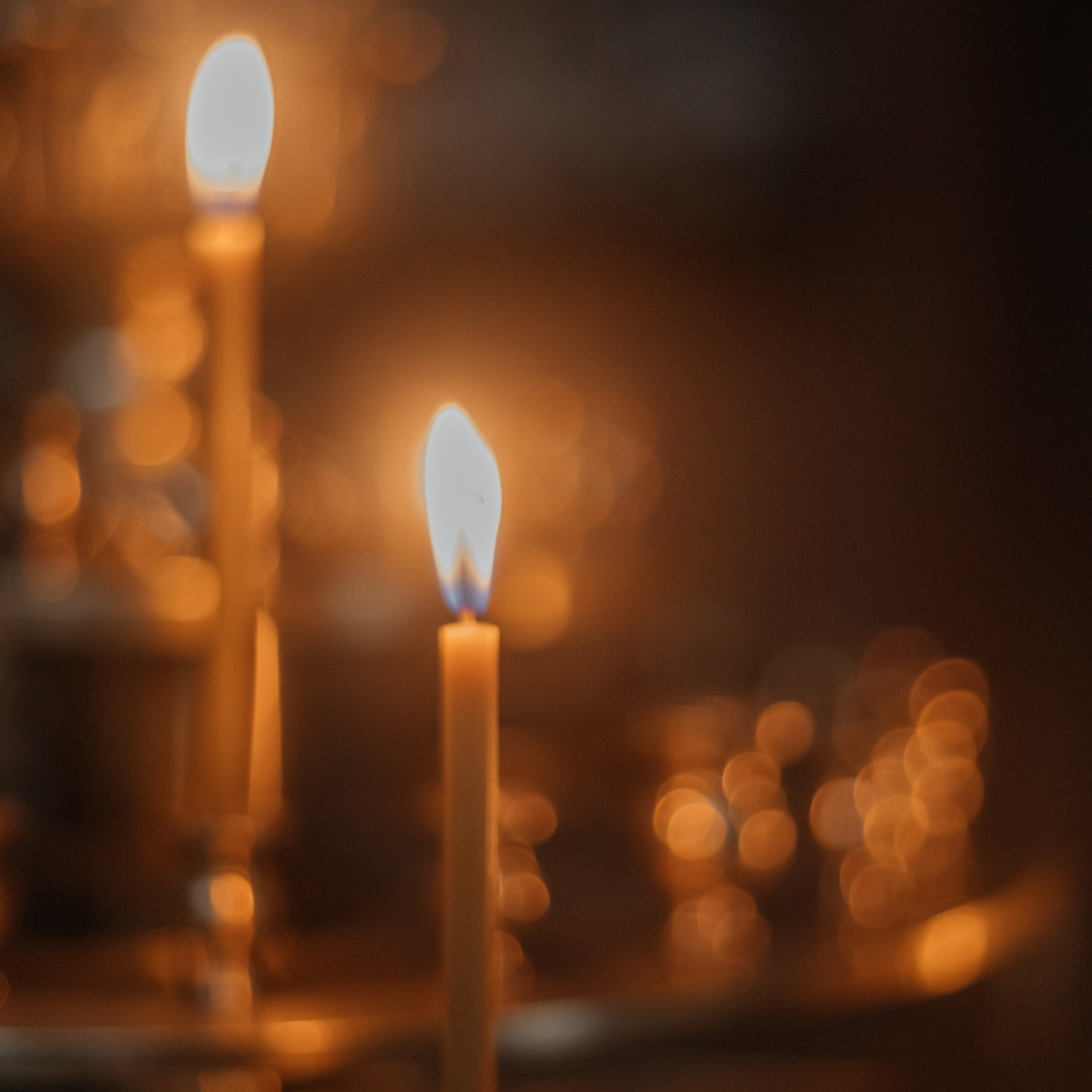 REVIEWS. Фотограф Воронеж/Белгород/Курск/все виды съемок