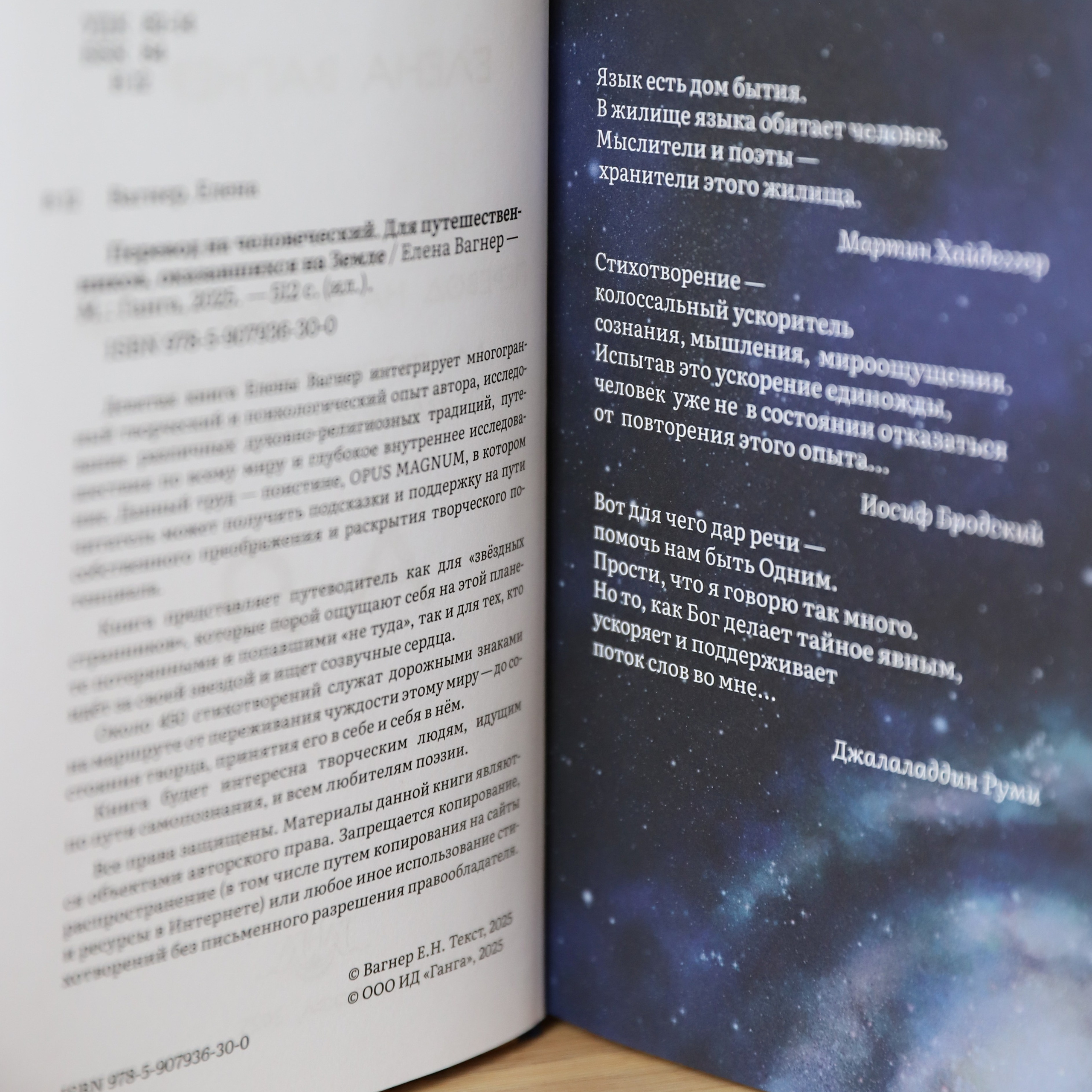 Книга «Перевод на человеческий»