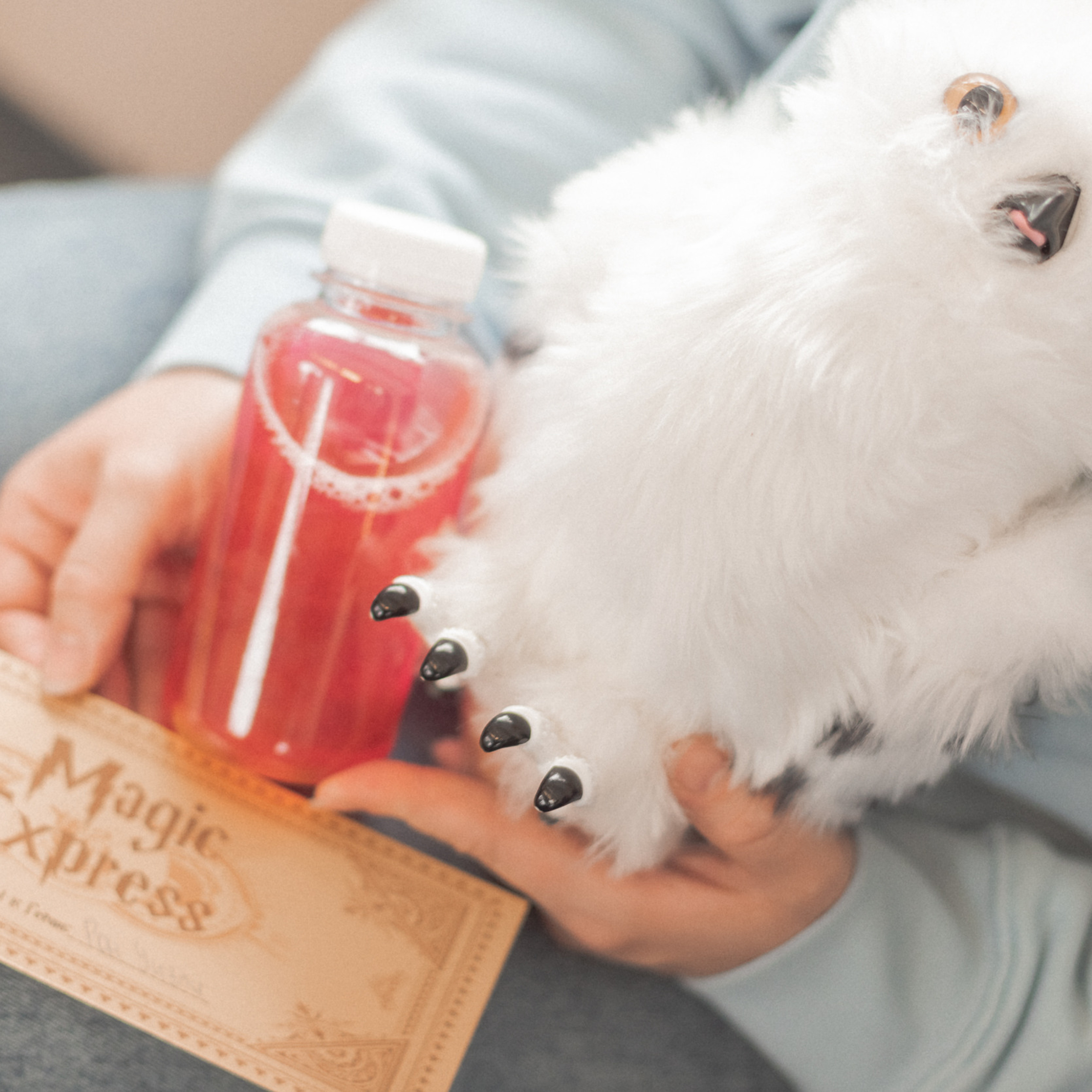 Отзывы. Свадебный фотограф Стерлитамак, Уфа, Салават, Ишимбай