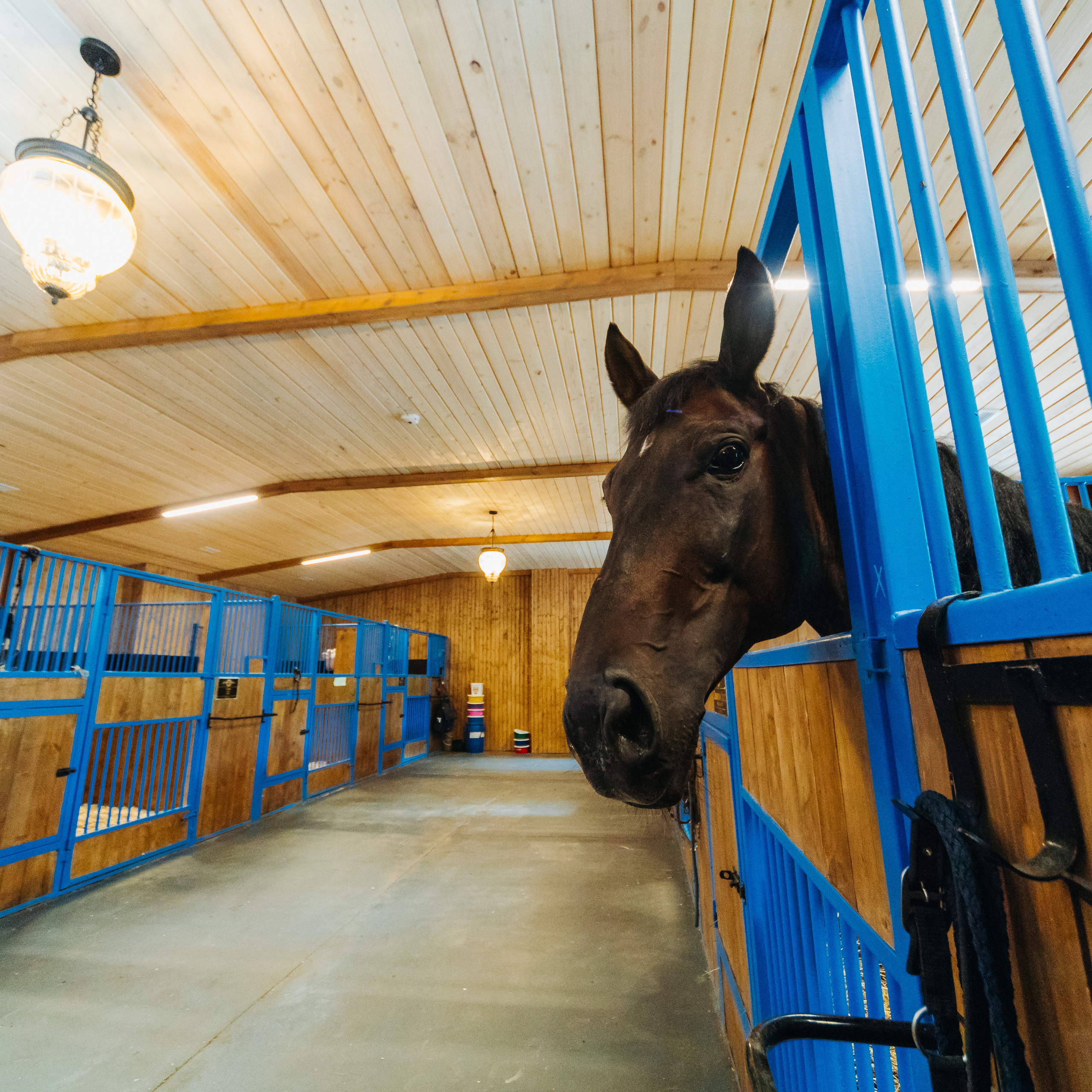 ОТЗЫВЫ. Профессиональный фотограф в Спб и Москве Пётр Летуновский