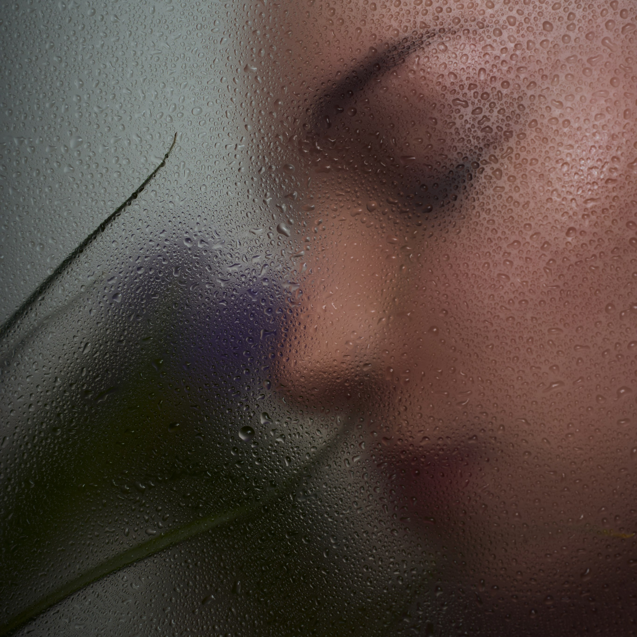 творчесская встреча