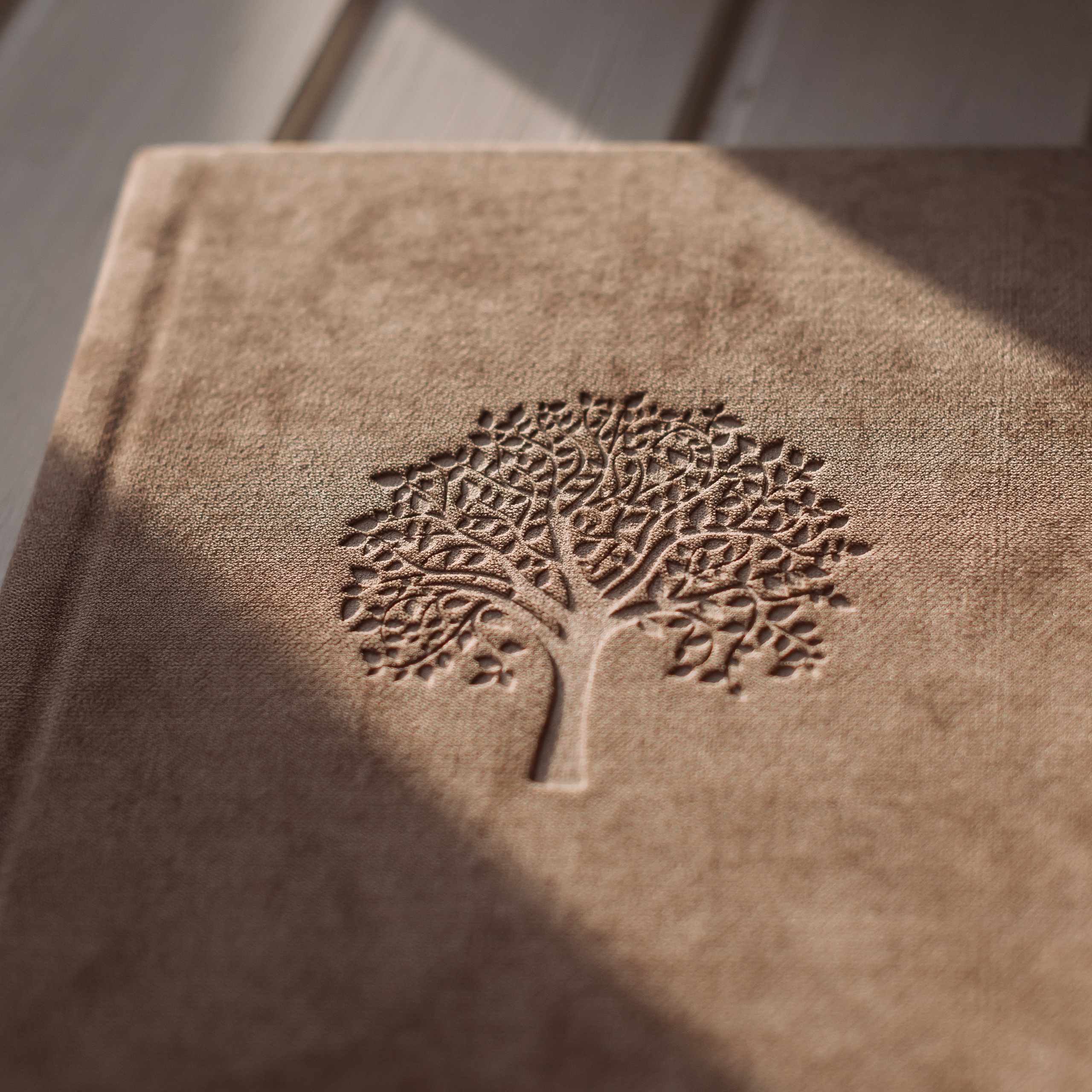 Премиум фотокниги. Свадебный фотограф Алёна Замотаева