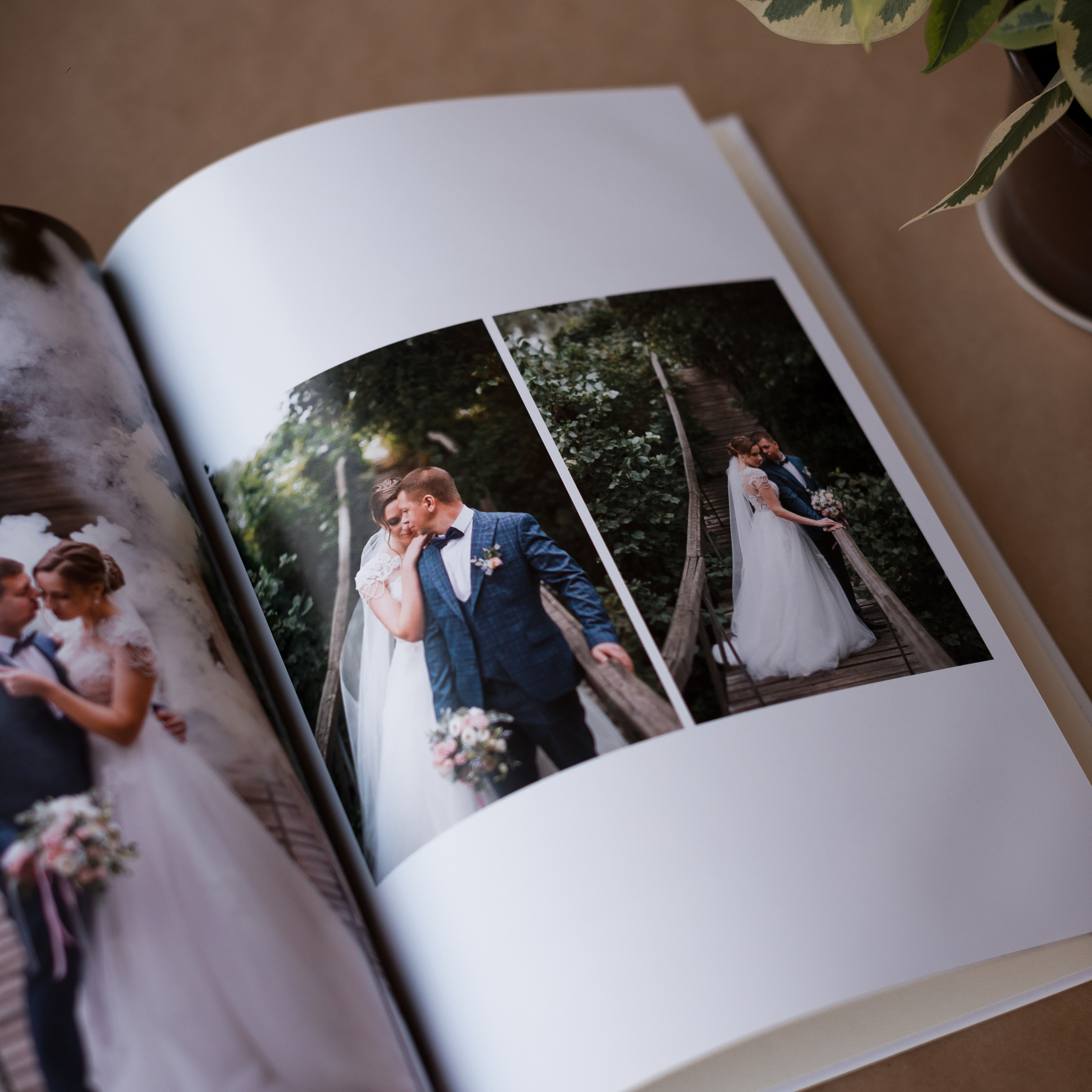 Тонкие страницы. Свадебный фотограф Алёна Замотаева