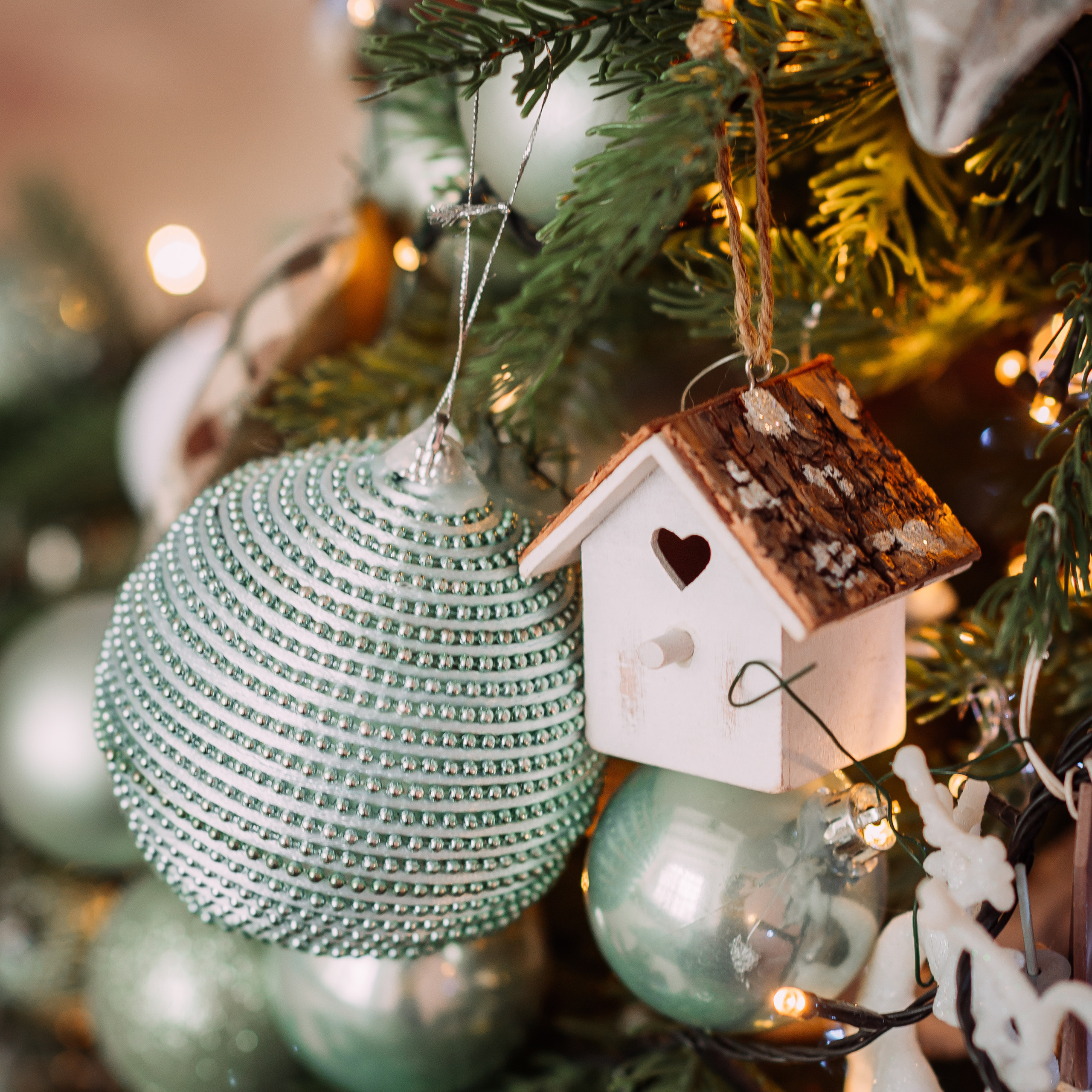 Отзывы. Свадебный фотограф Алёна Замотаева