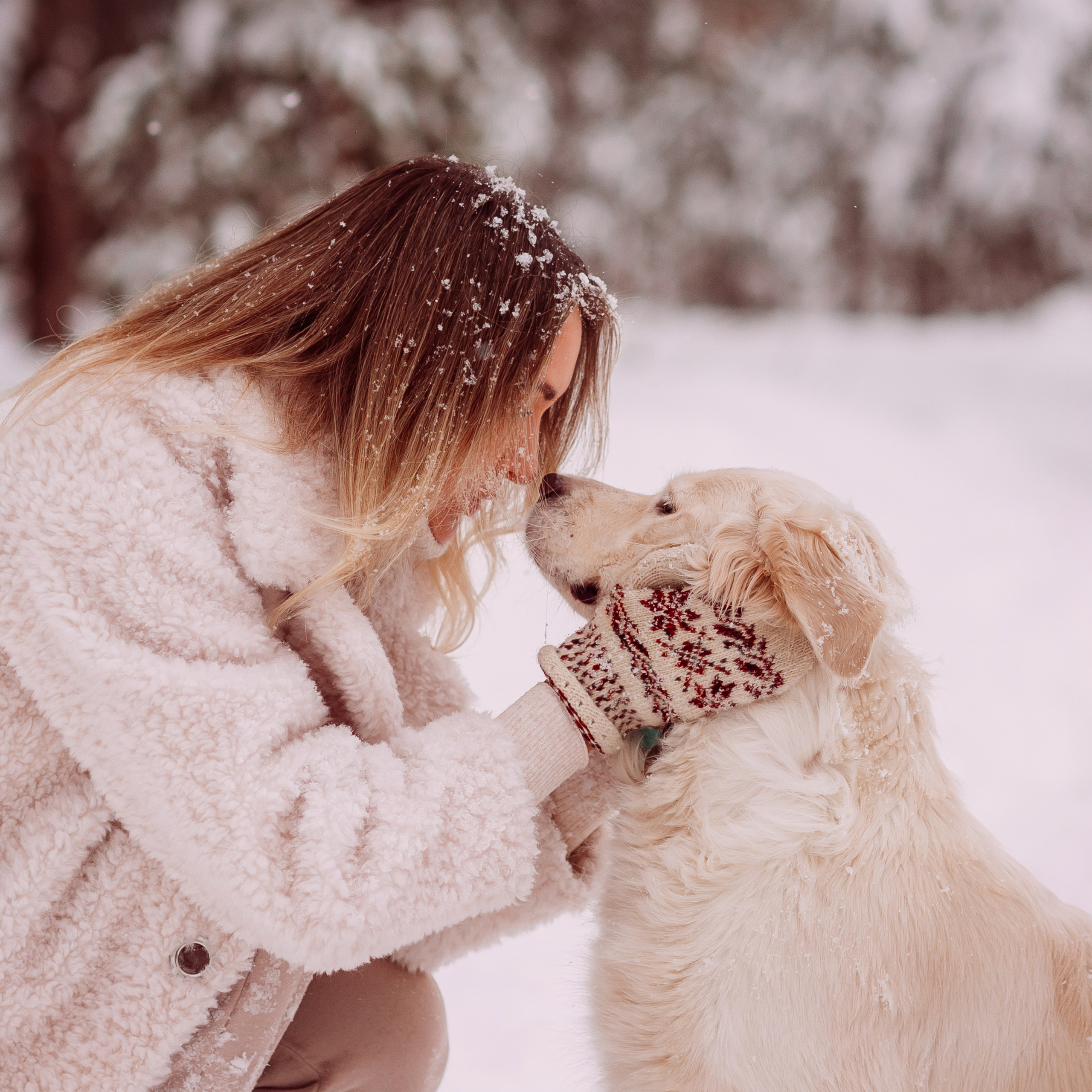 Отзывы. Свадебный фотограф Алёна Замотаева