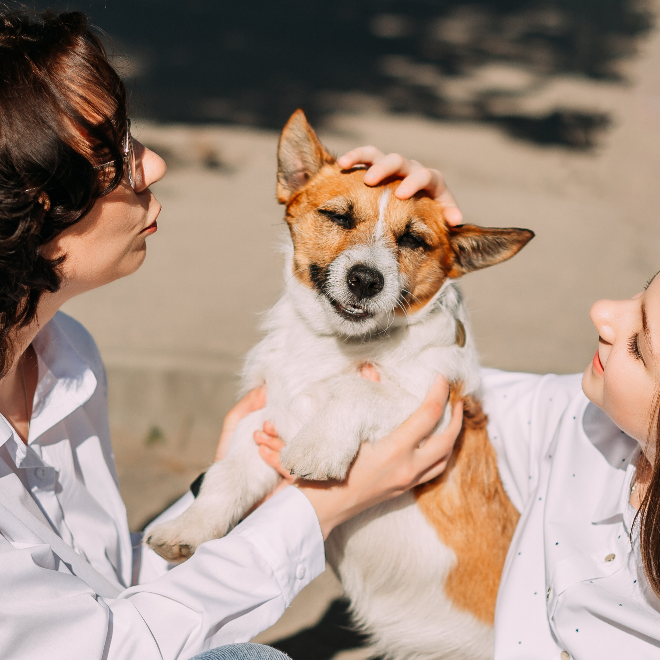 Весенняя прогулка