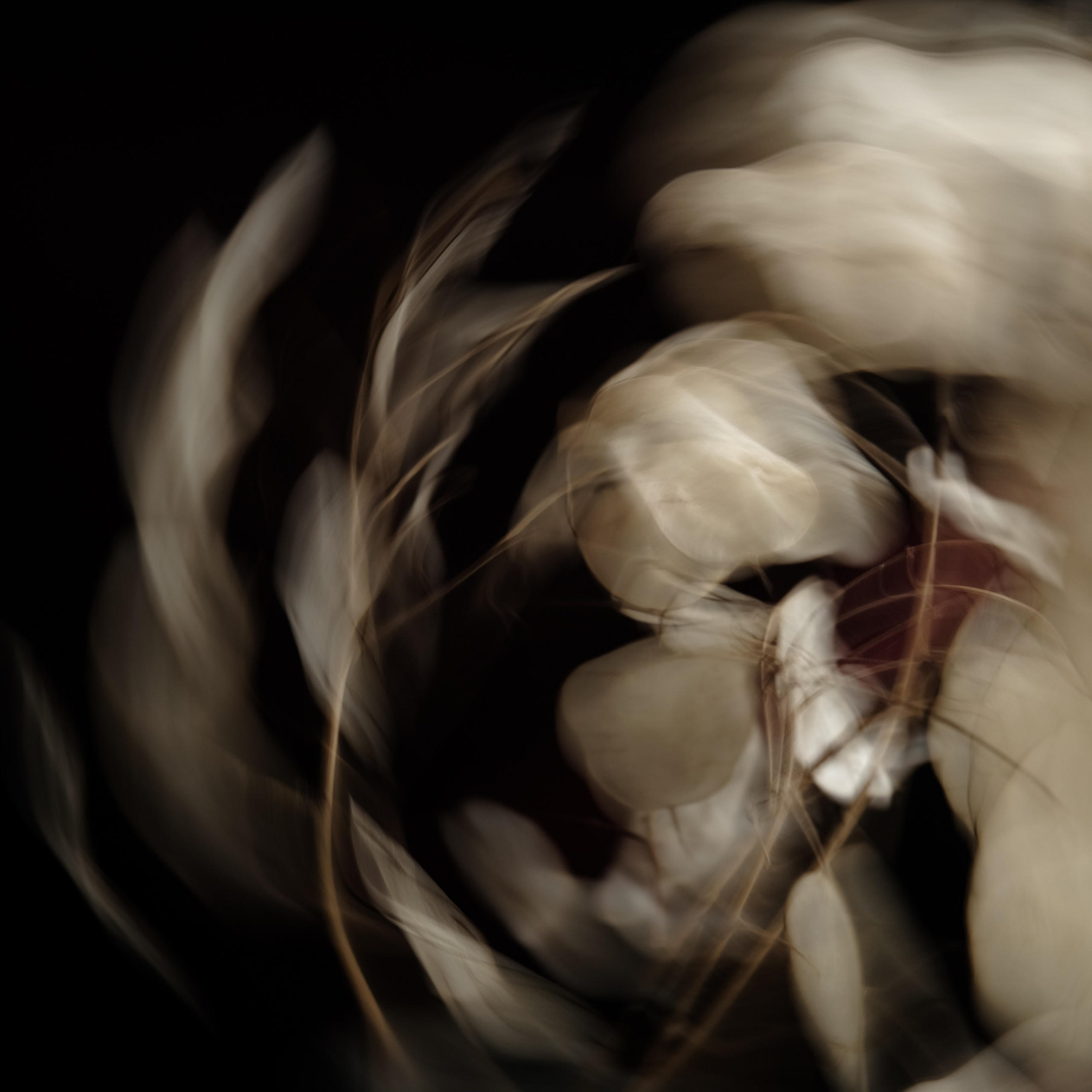 Фотограф в Москве Дарья Гоглева