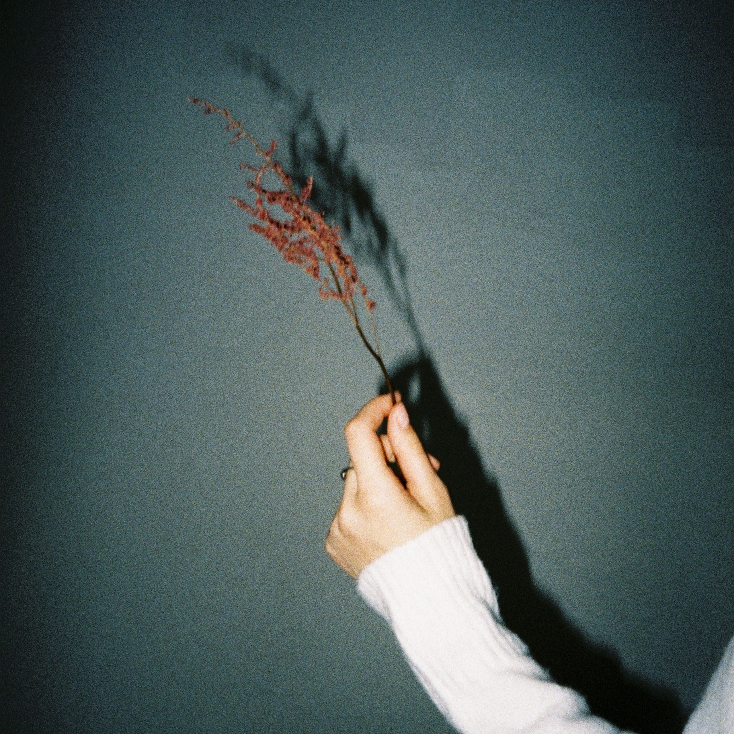 Фотограф в Москве Дарья Гоглева