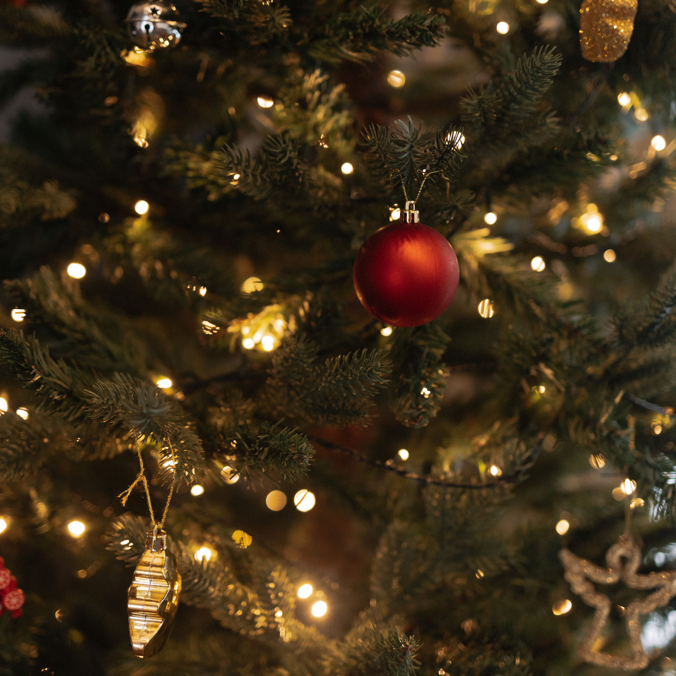 Отзывы о фотографе. Фотограф в Новосибирске и Москве