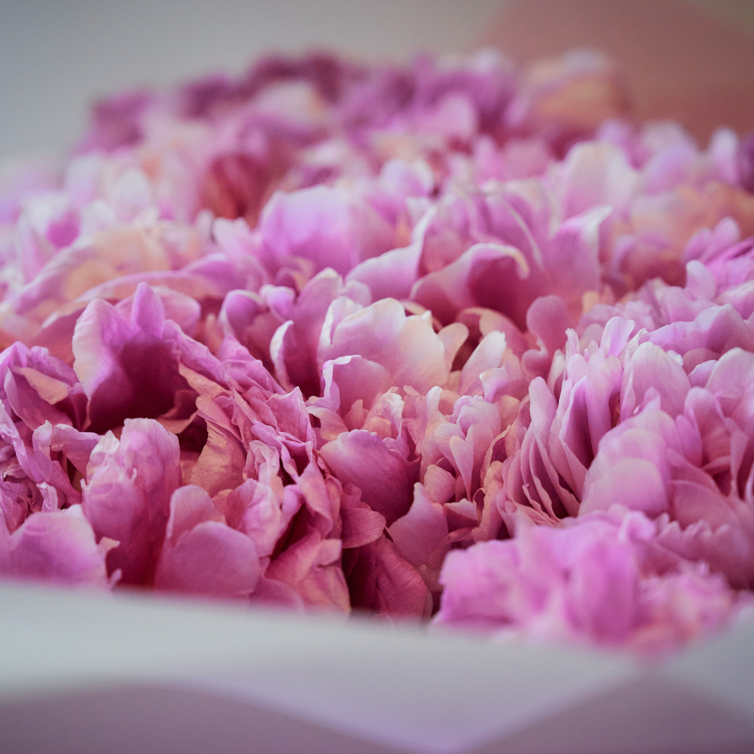 Юбилей Александры