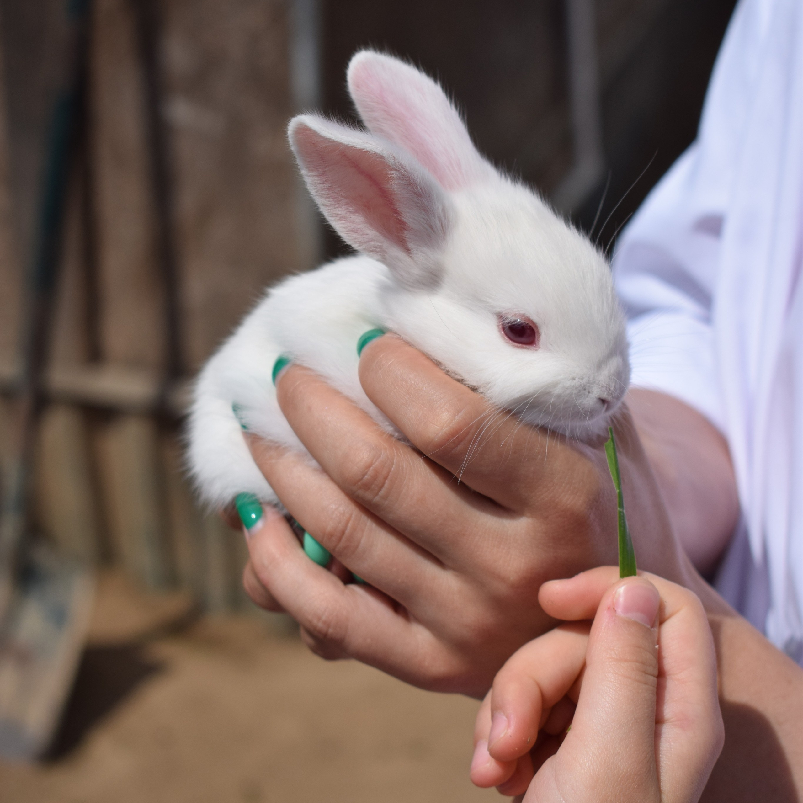 Отзывы. Фотограф Зеленоград Москва