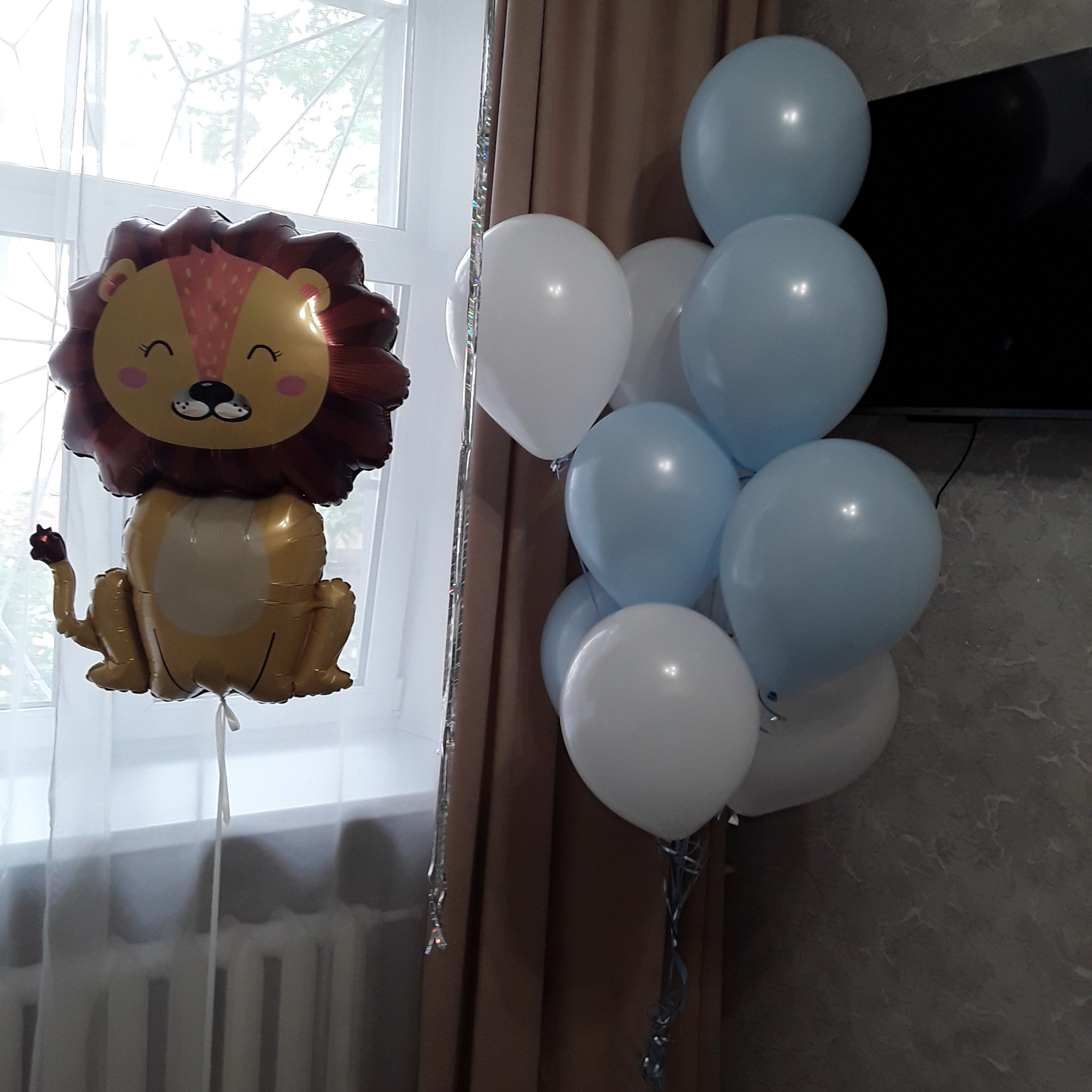 Отзывы. Янина Зудина — видеограф Тверь /Москва