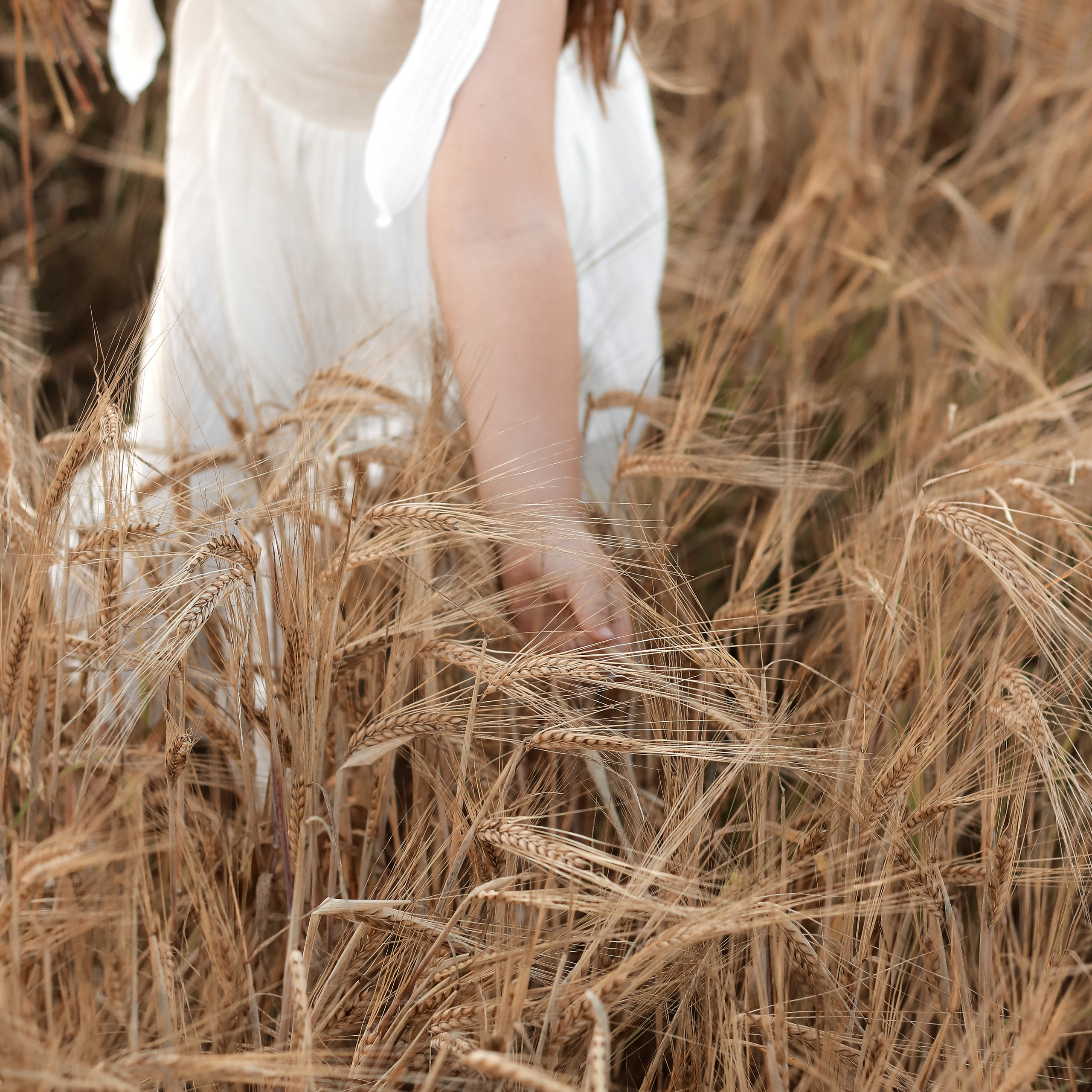 Теплое лето