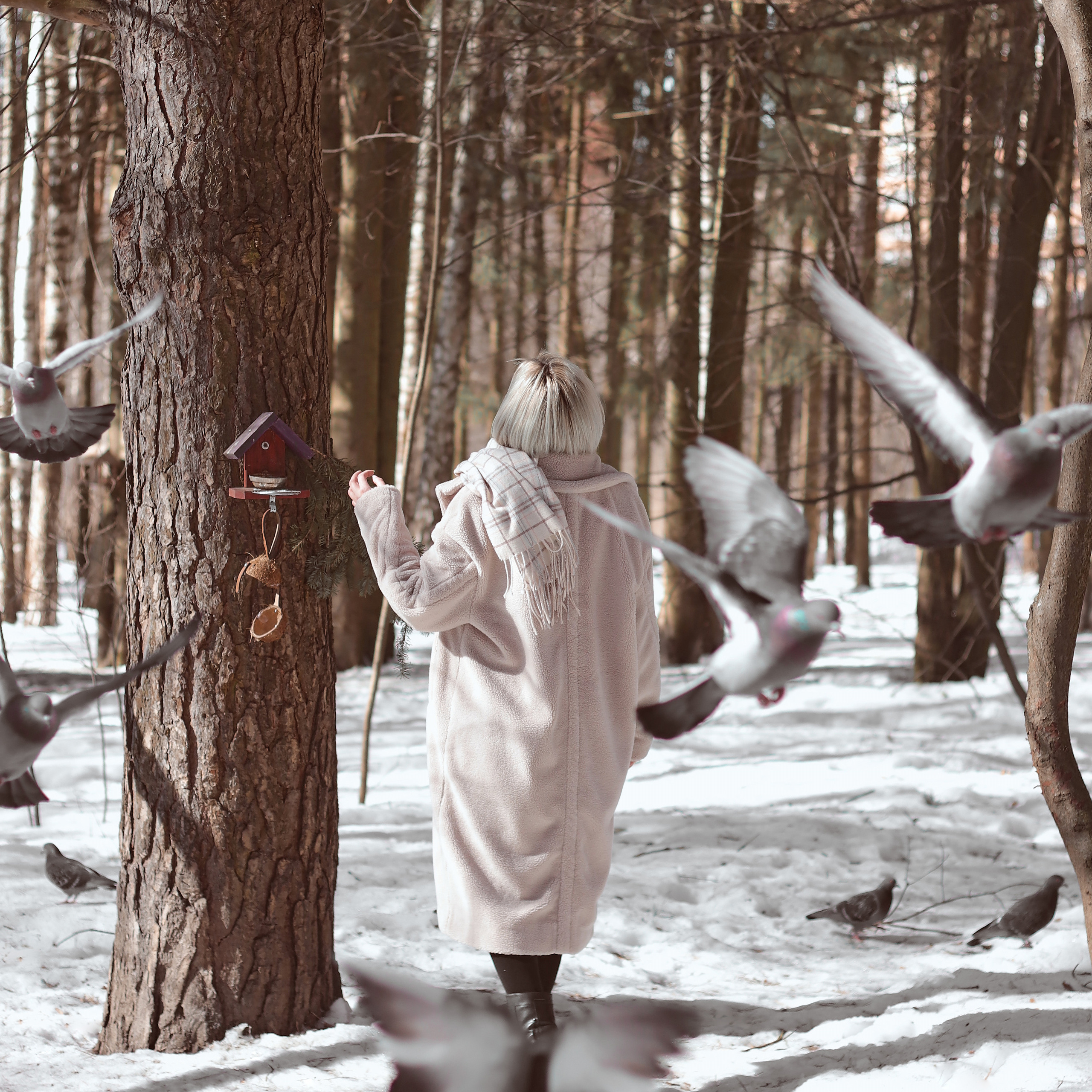 Волшебная зима